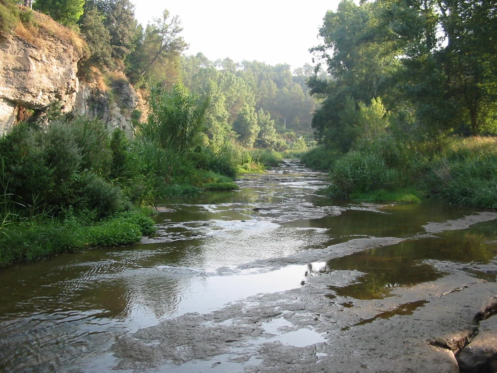 Navarcles
