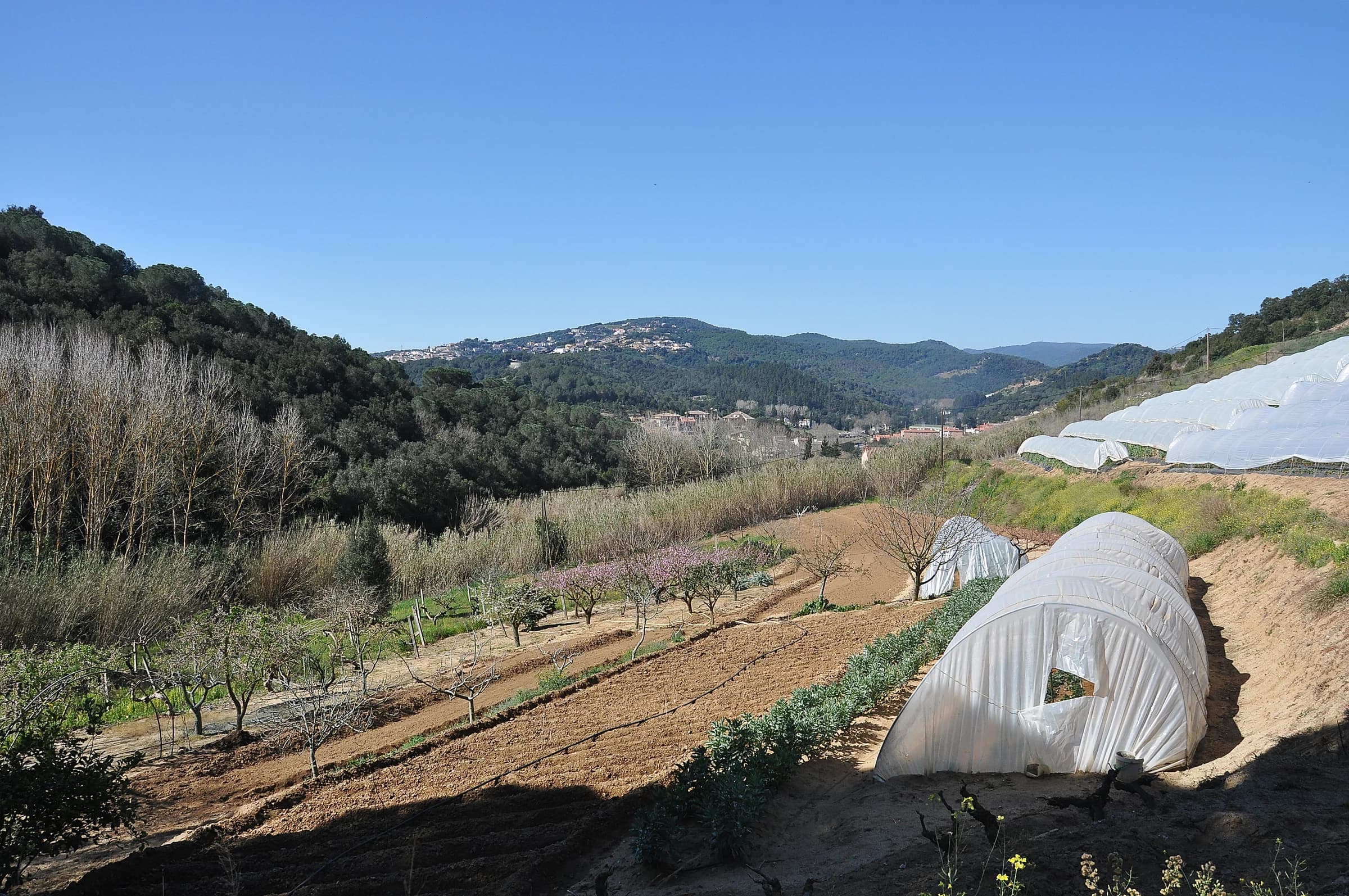 Sant Cebrià de Vallalta