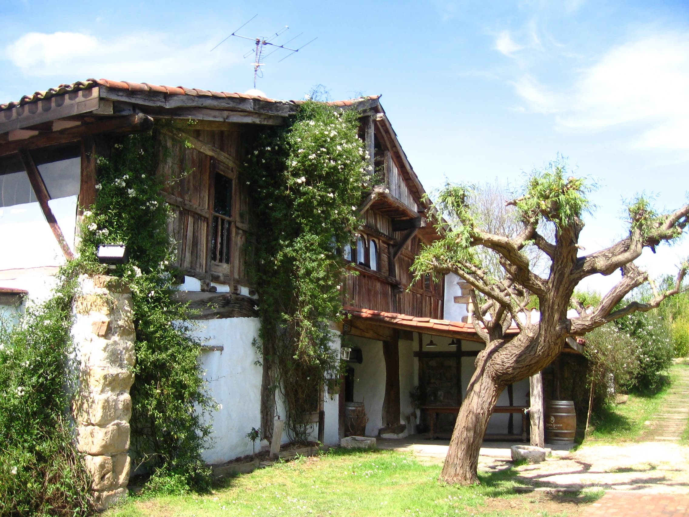 Loiu