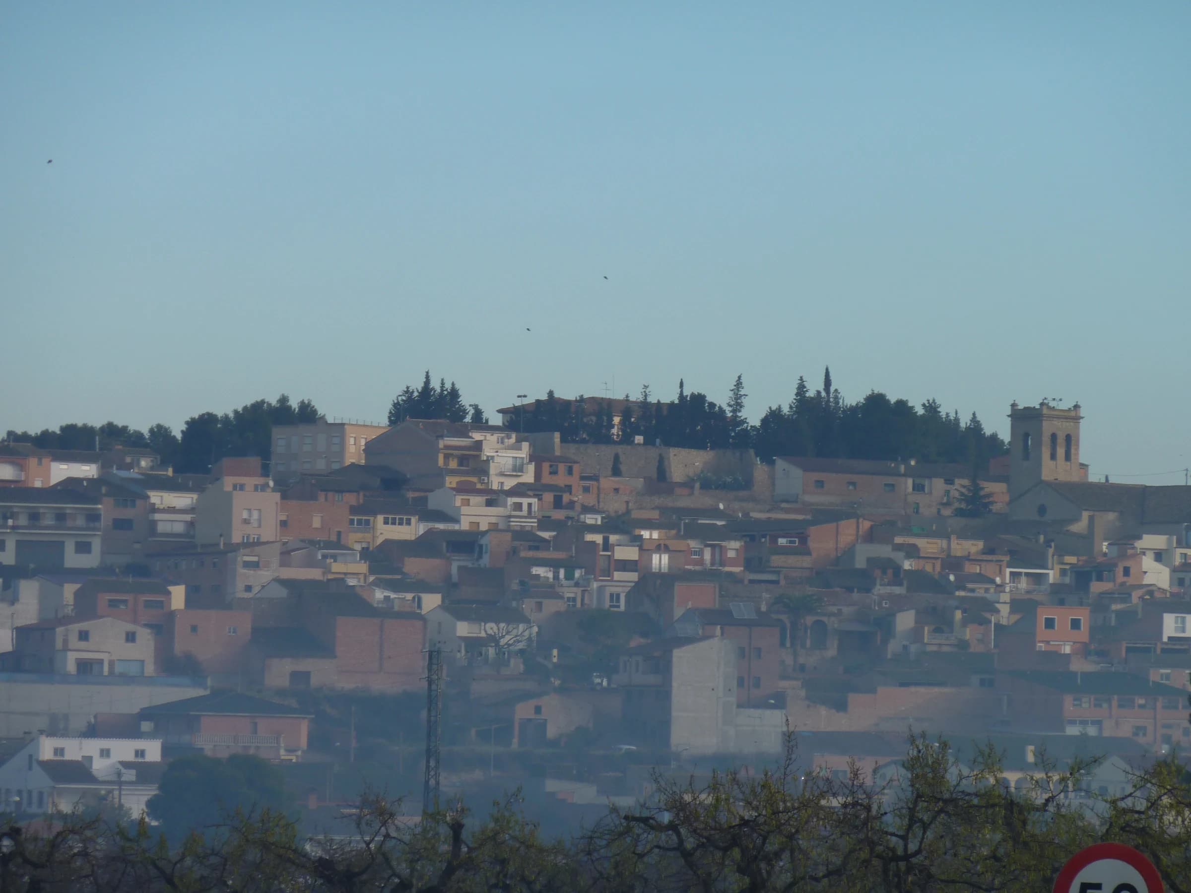 Arbeca