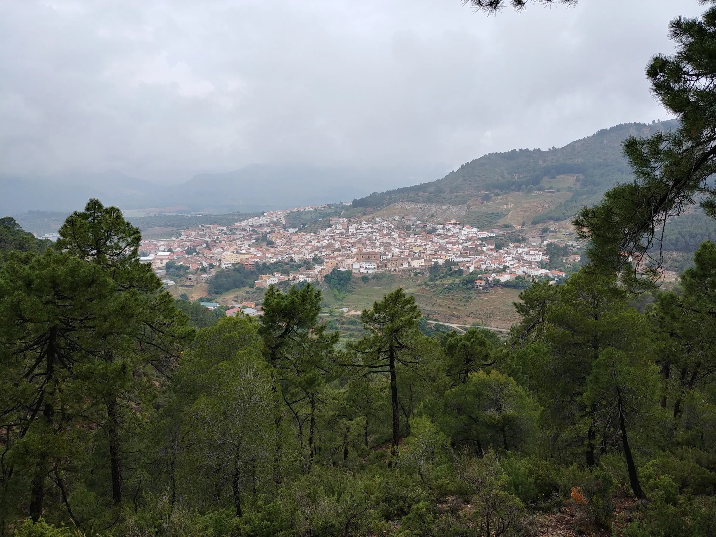 Orcera