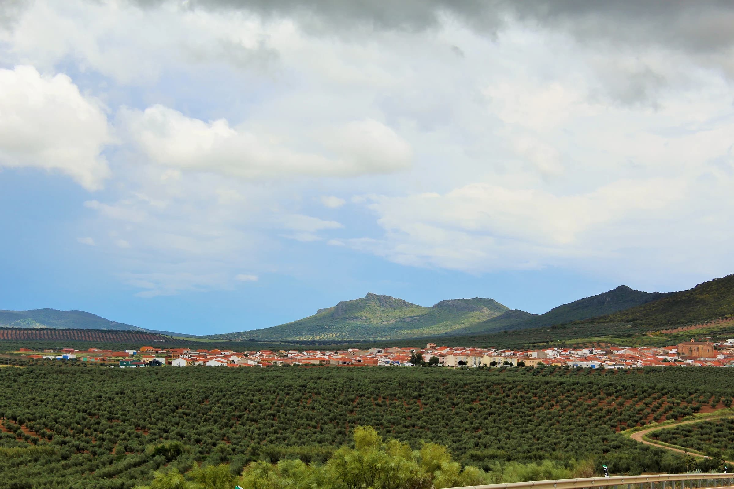 Oliva de Mérida
