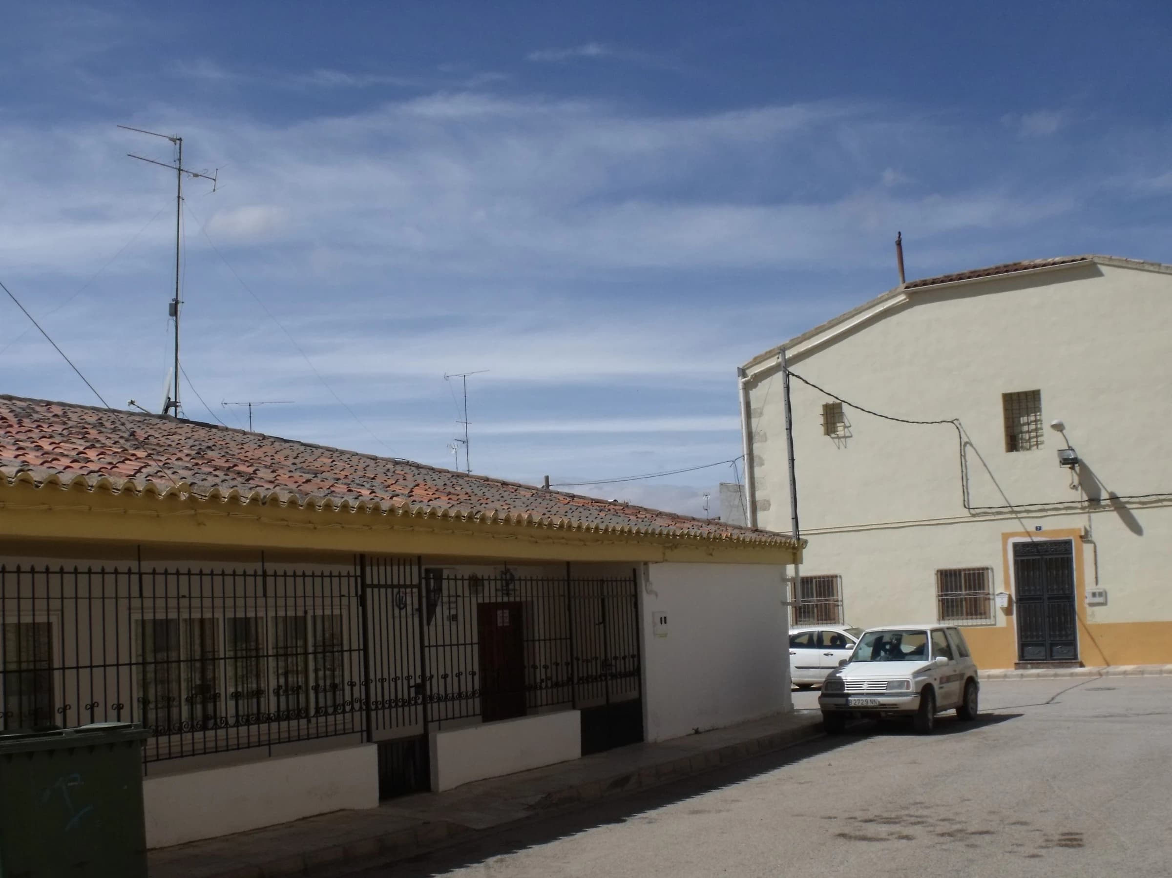 Mahora
