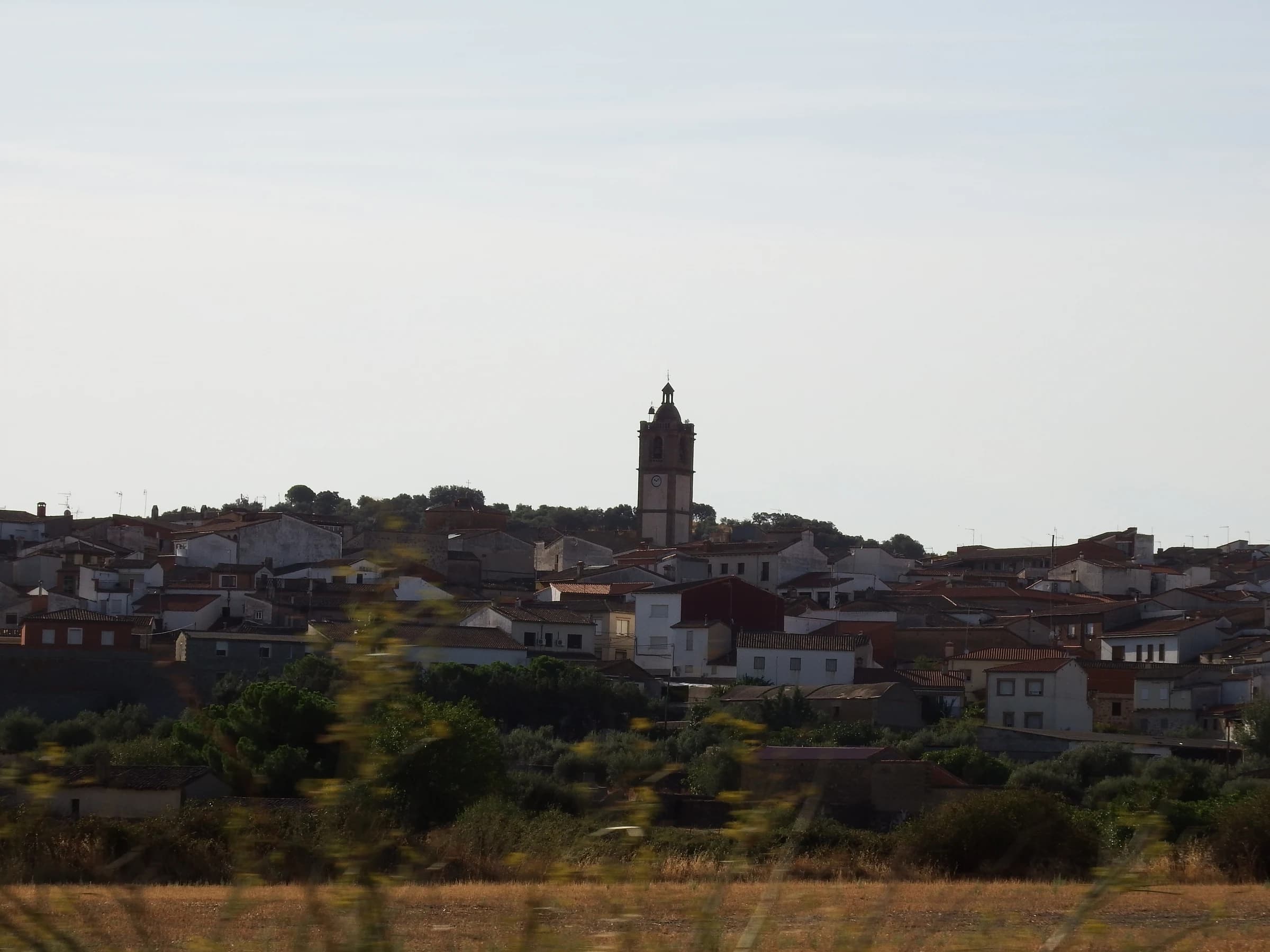 Lagartera