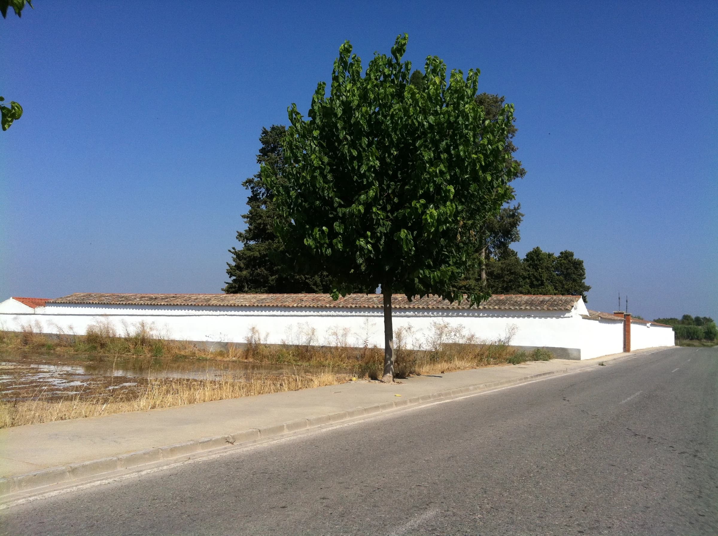 Vilanova de Bellpuig