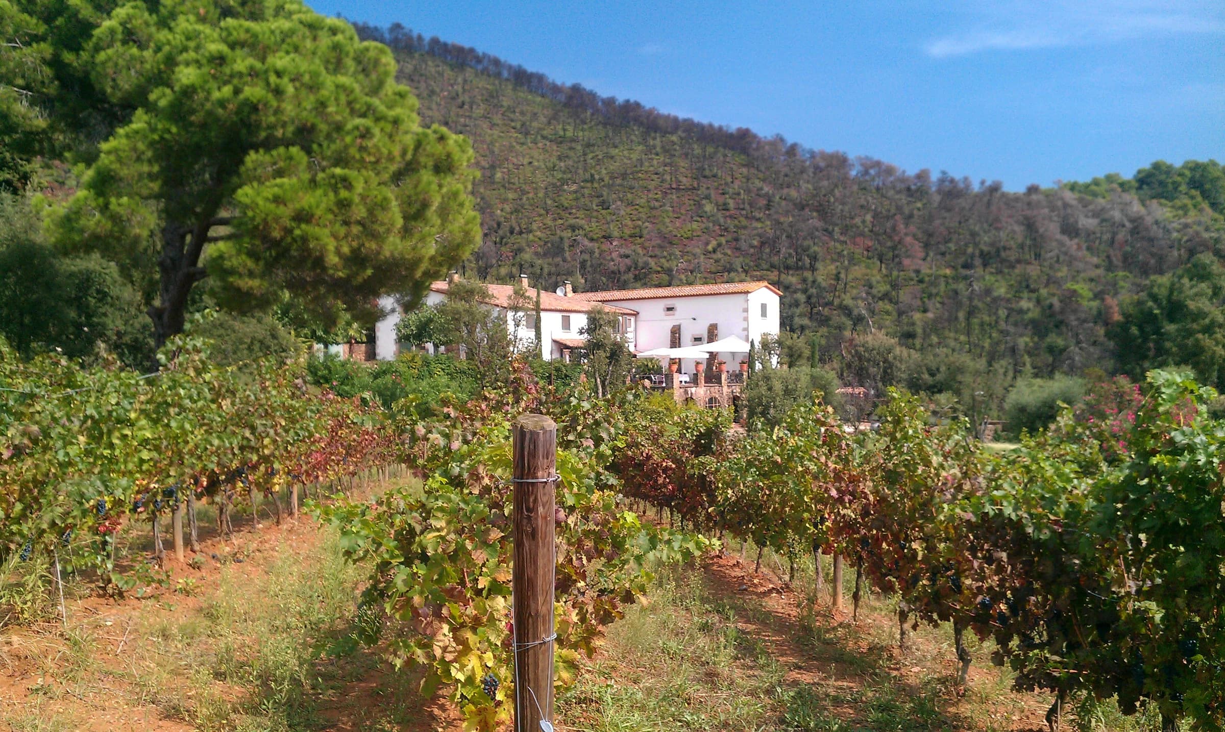 Vall-llobrega