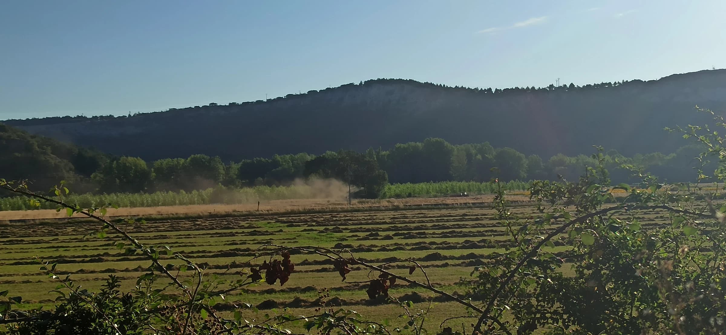 Alar del Rey