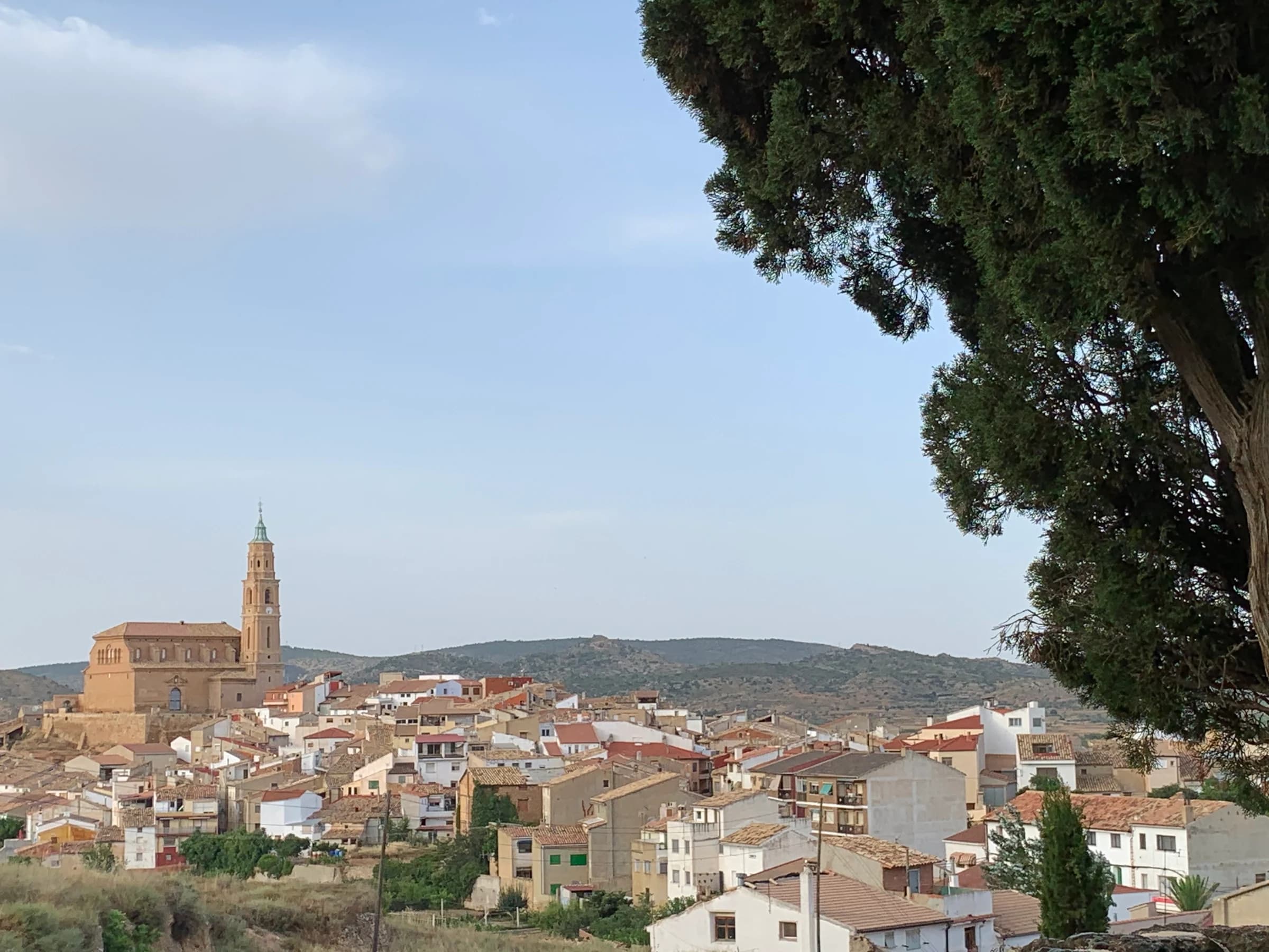 Alloza