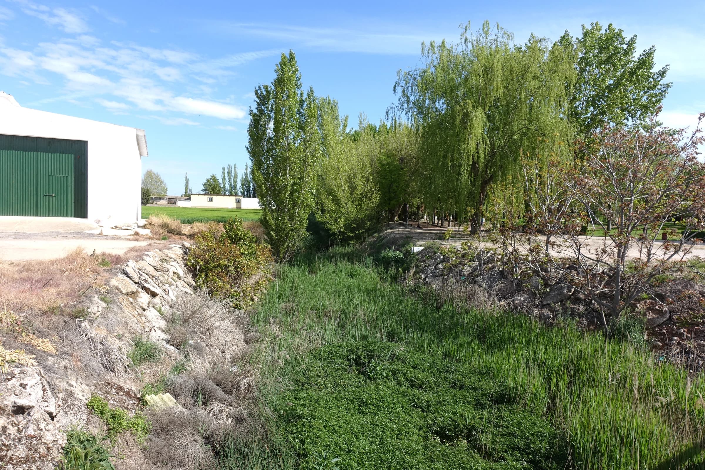 Santa María del Campo Rus
