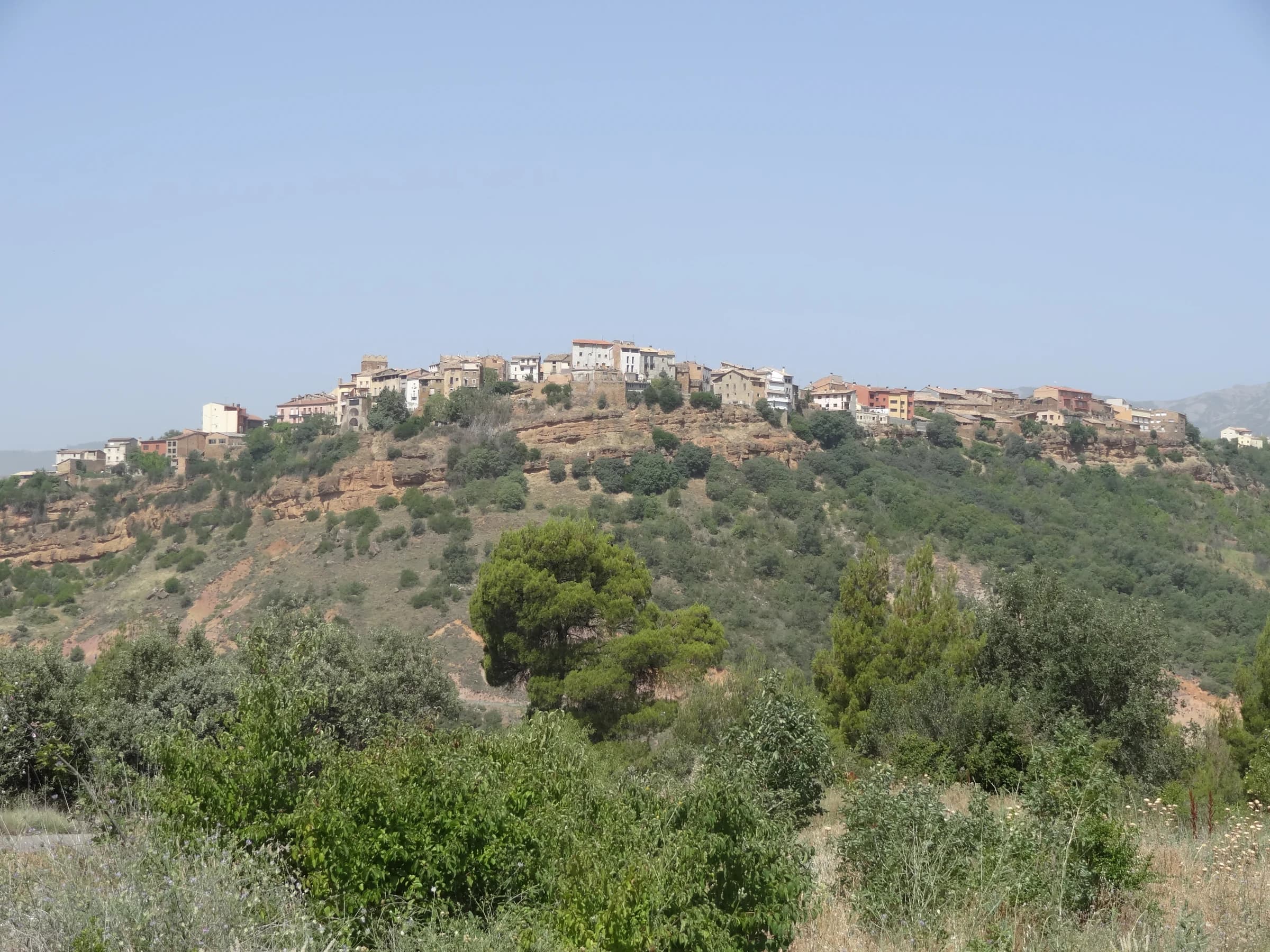 Talarn