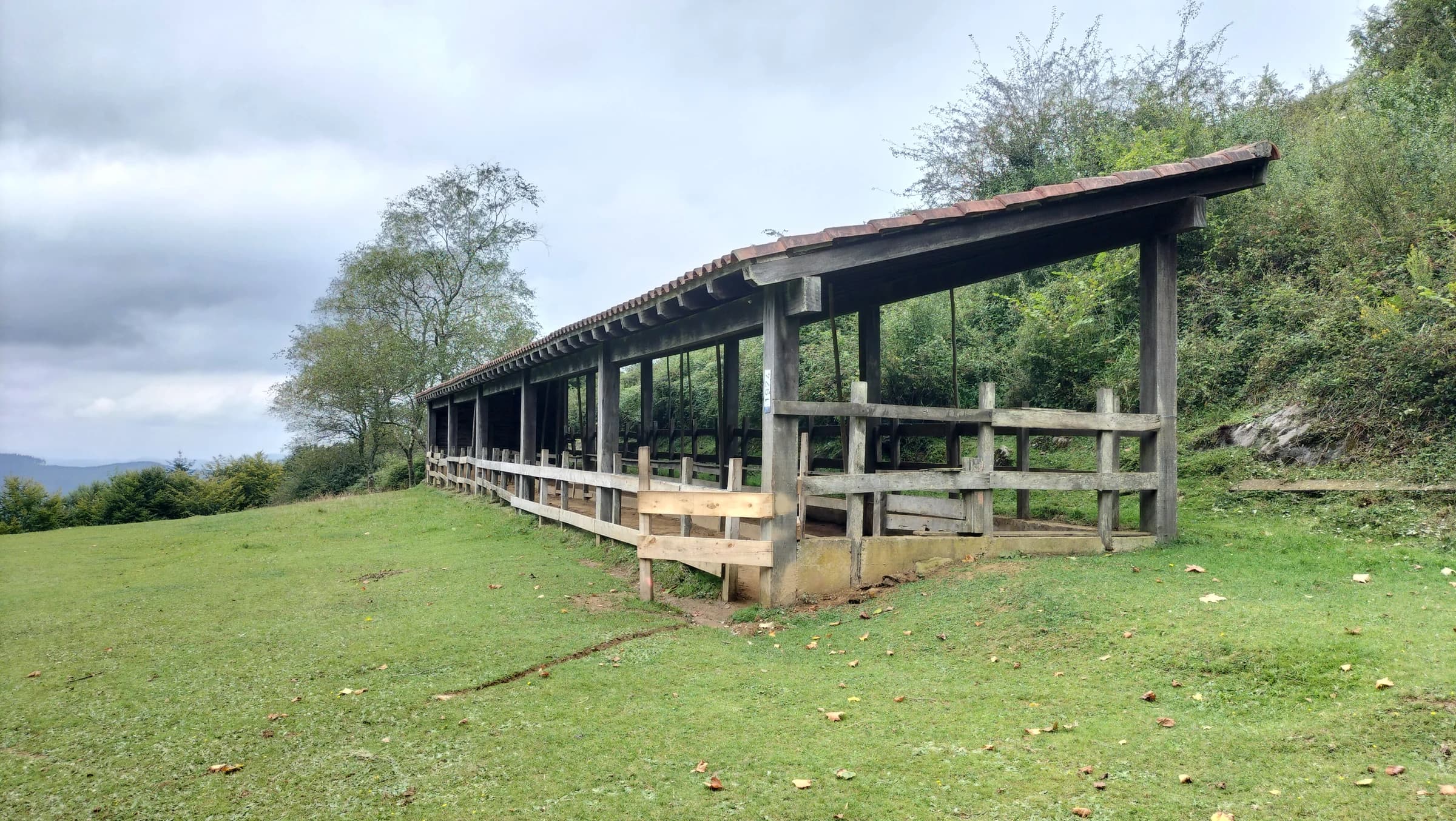 Ziortza-Bolibar