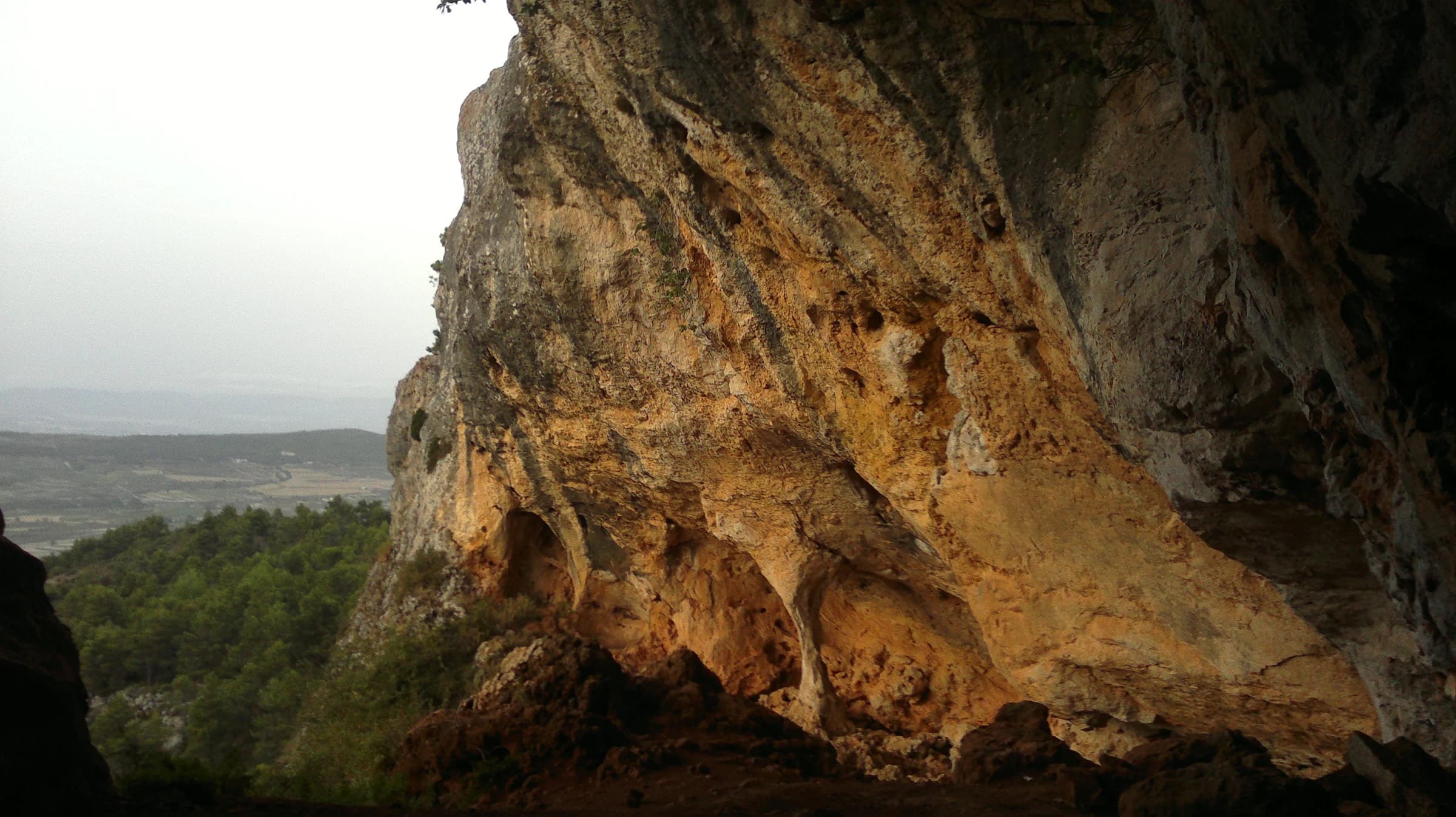 Alfafara