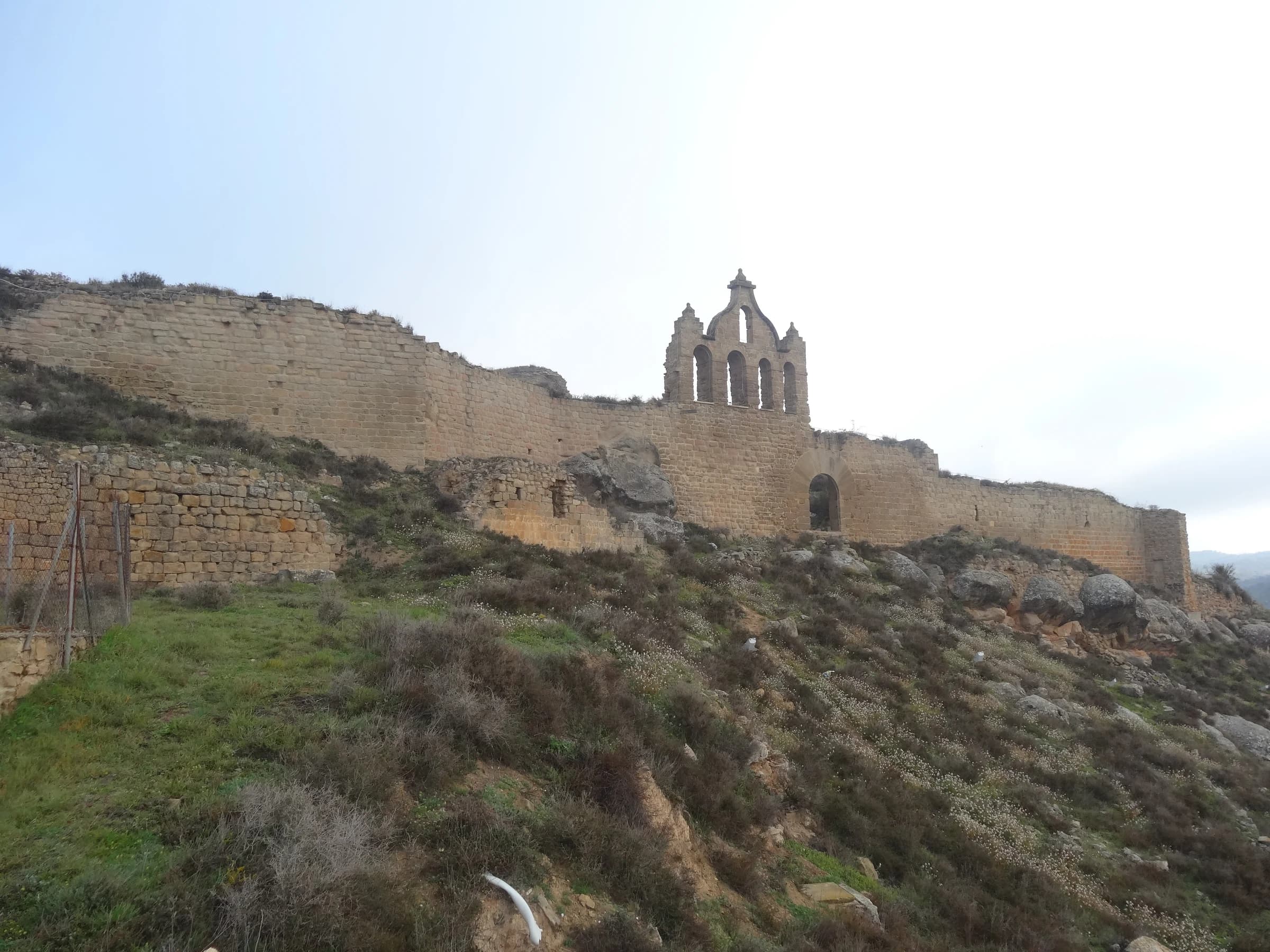 Sanaüja