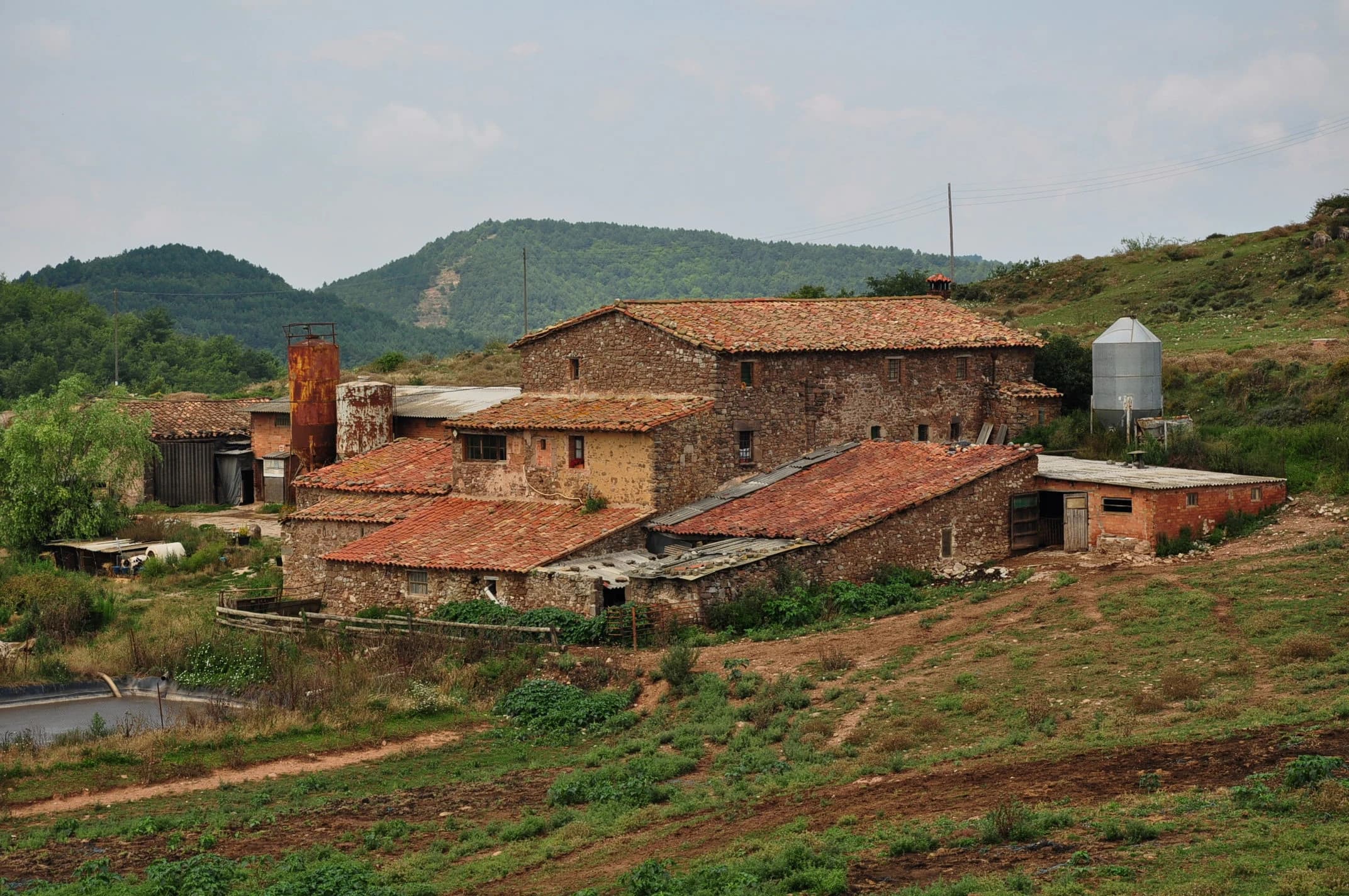 Collsuspina