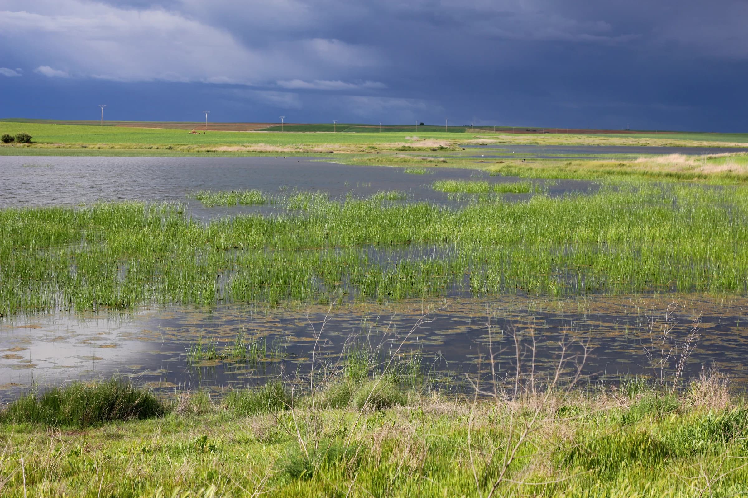 Villarrín de Campos