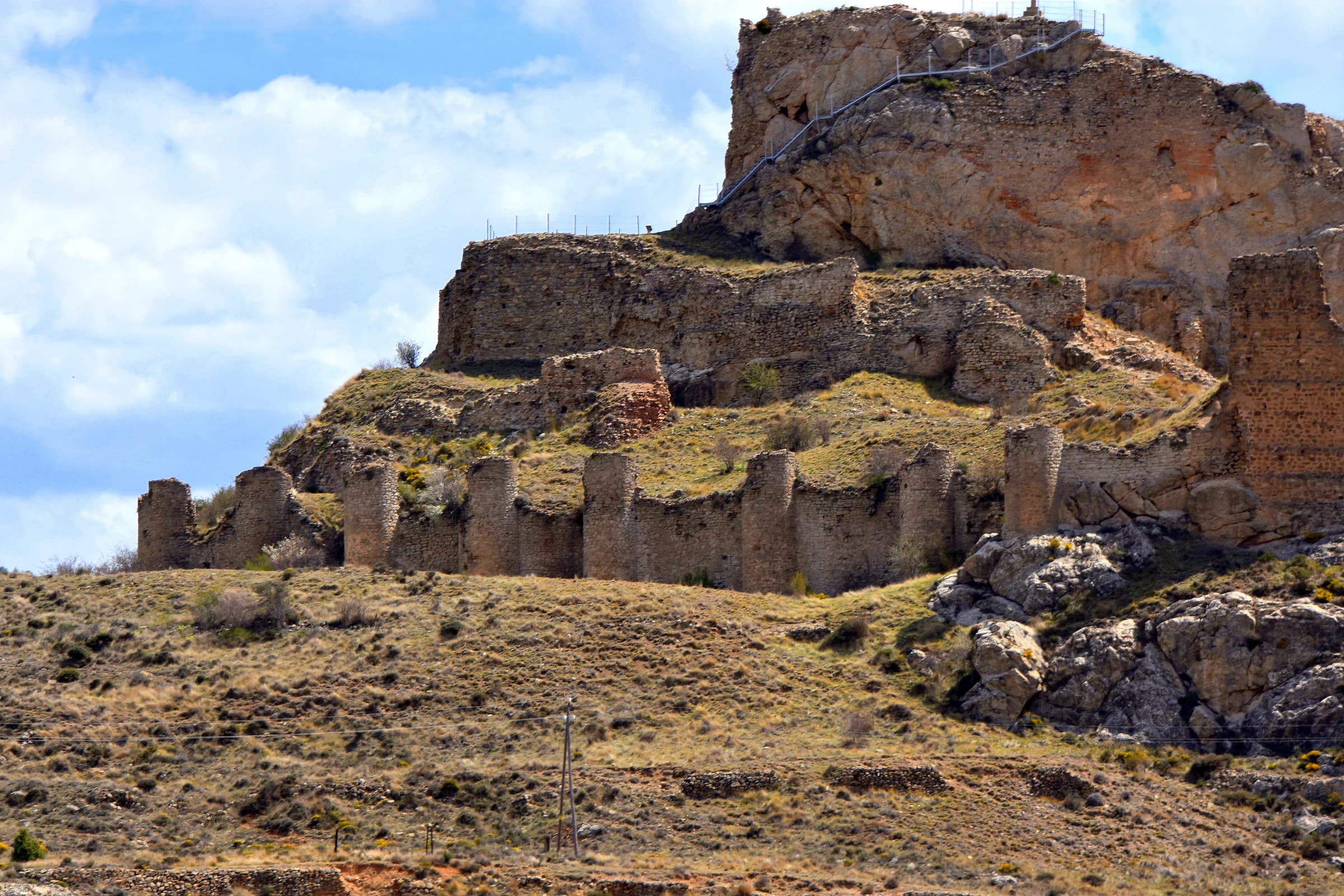 Aliaga