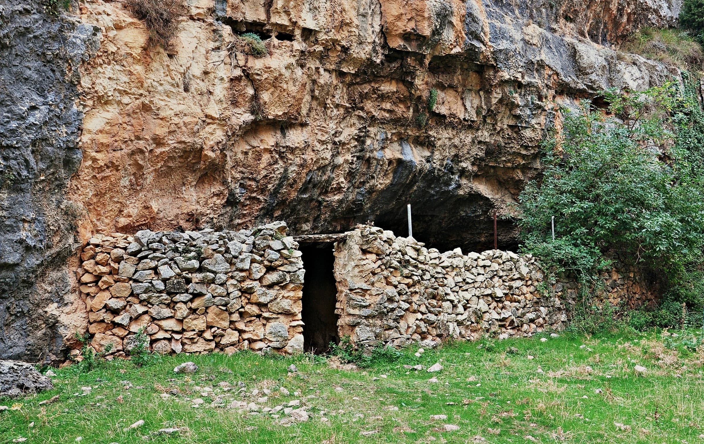 Jaraba