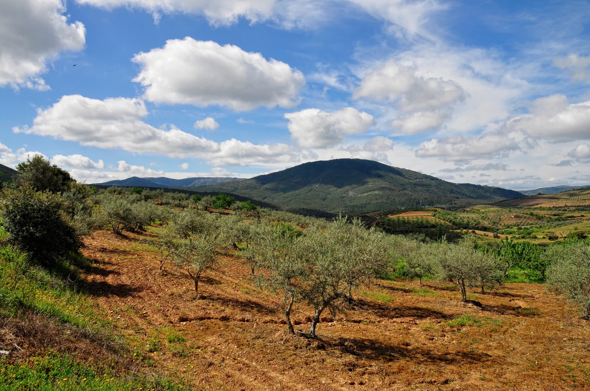 Herguijuela de la Sierra