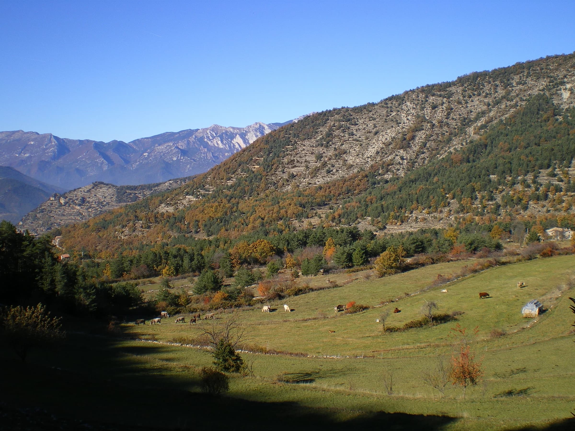 Sant Julià de Cerdanyola
