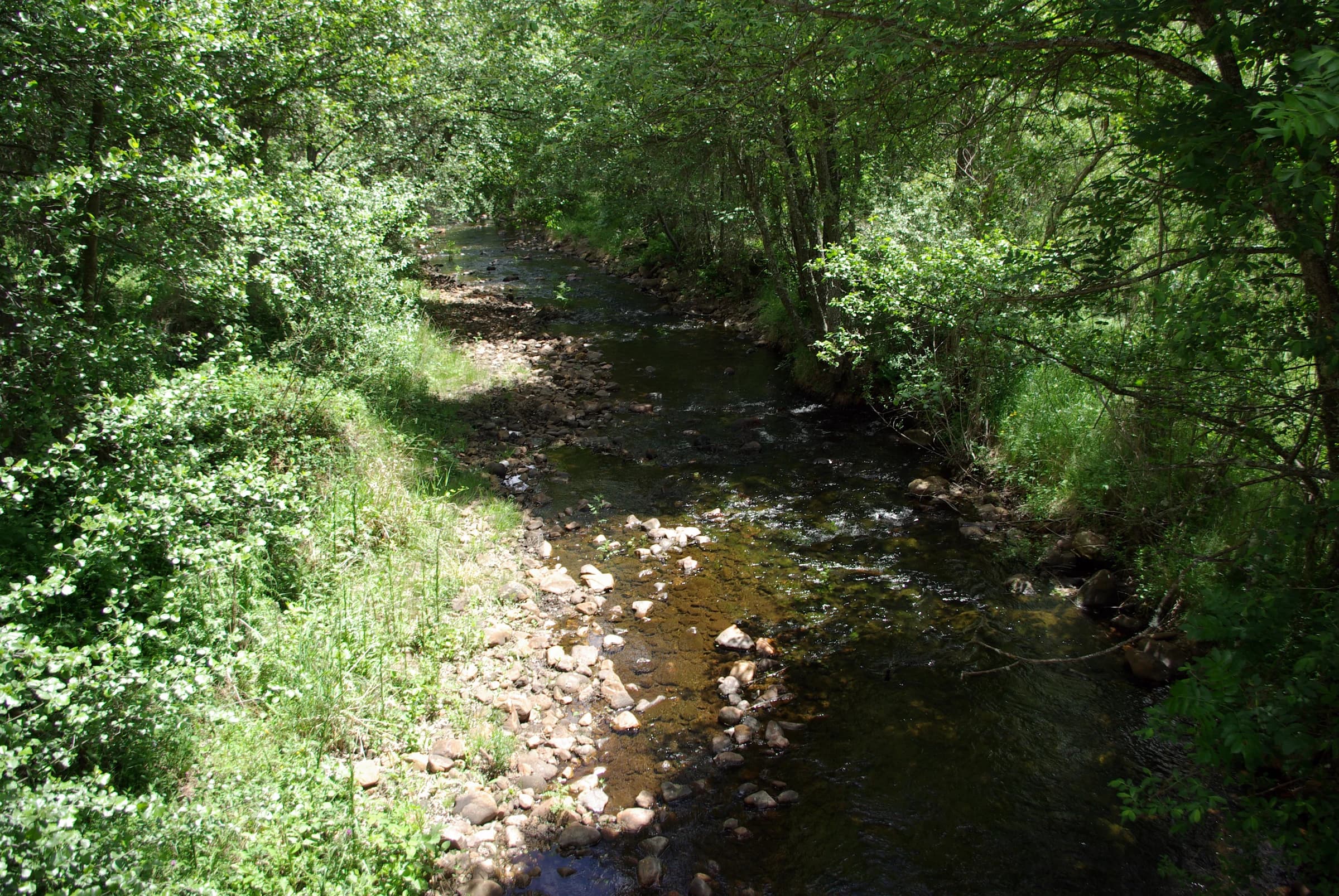 Valdesamario