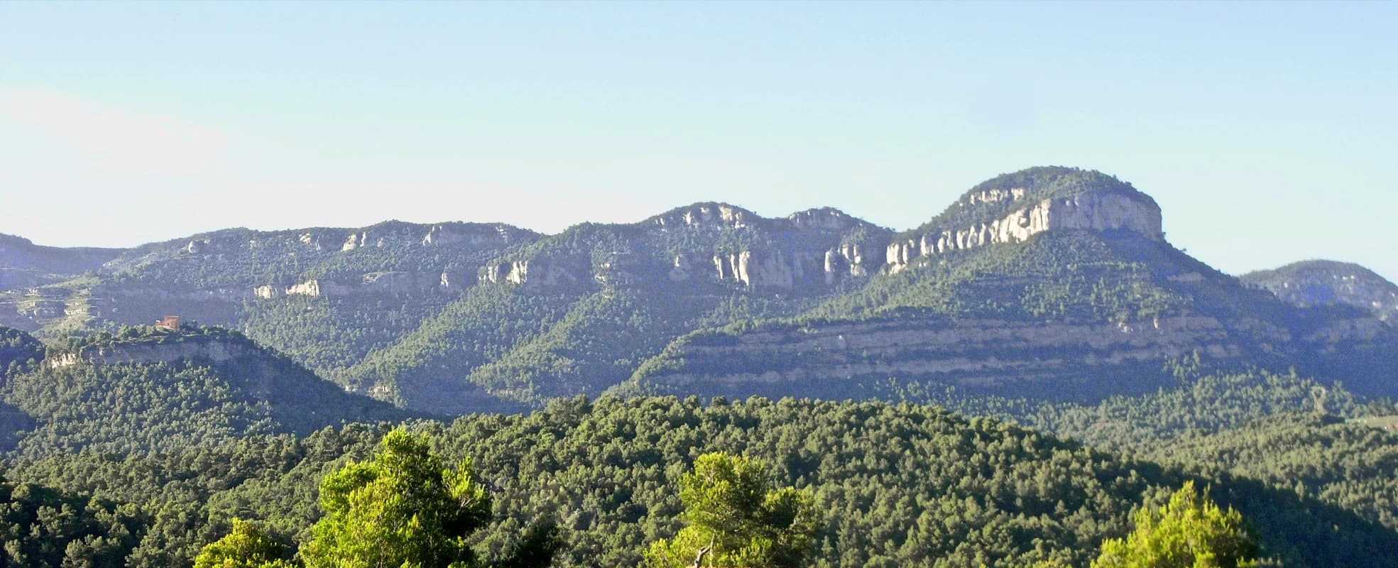 Gallifa