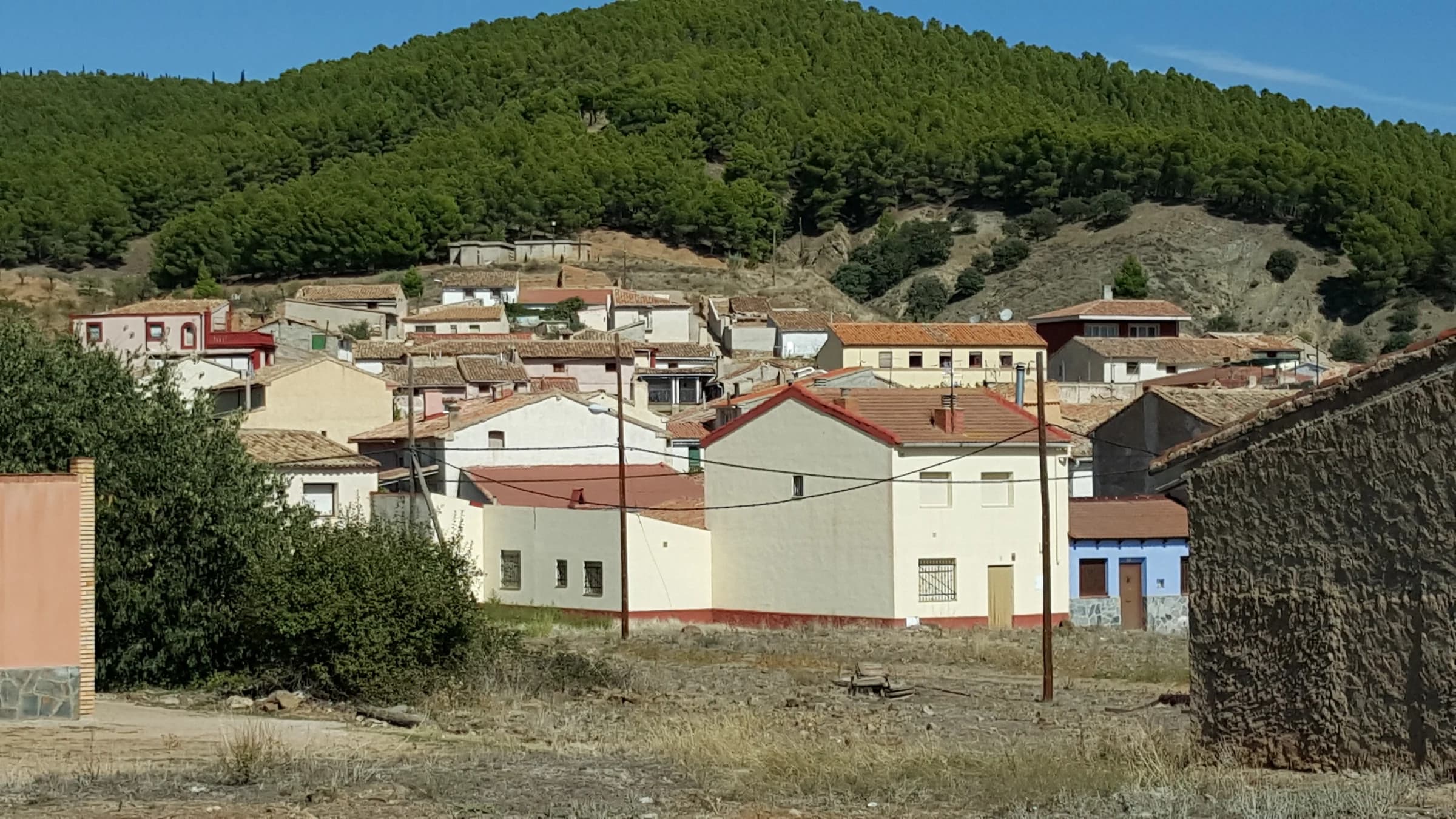 Carenas