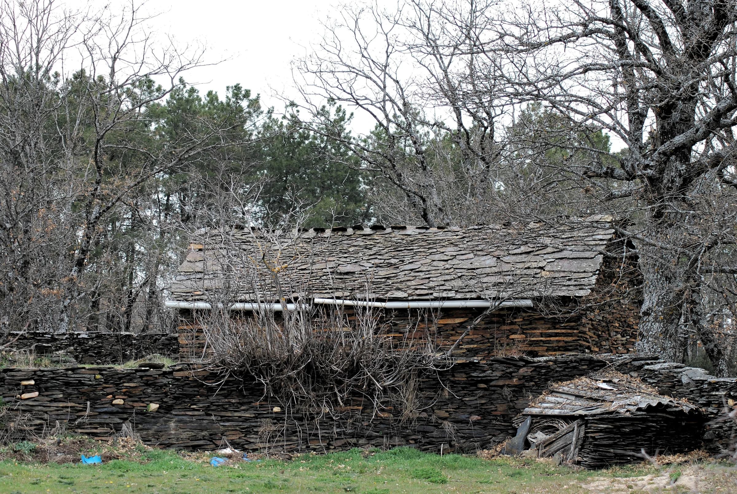 Campillo de Ranas