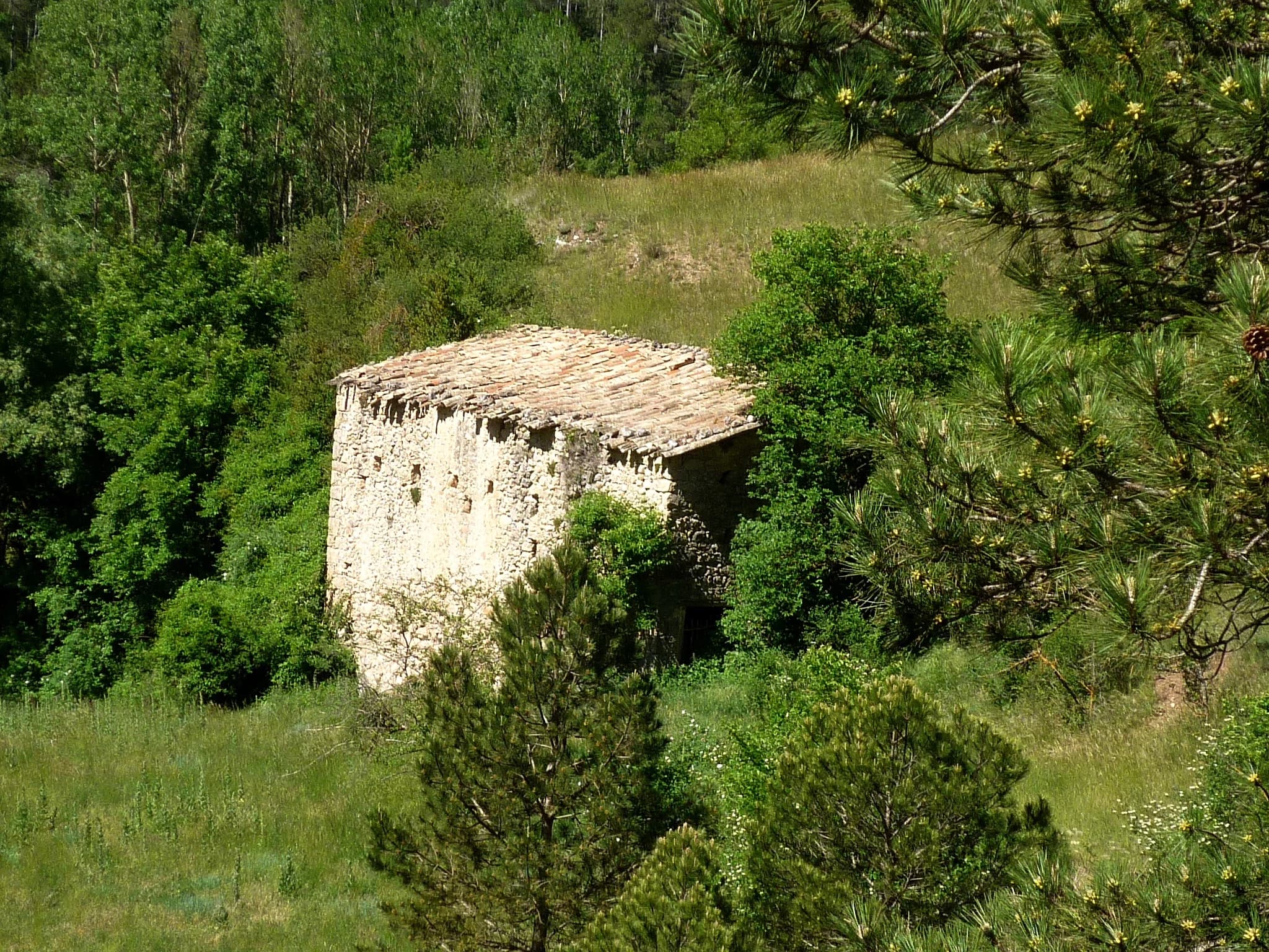 Vansa i Fórnols, La