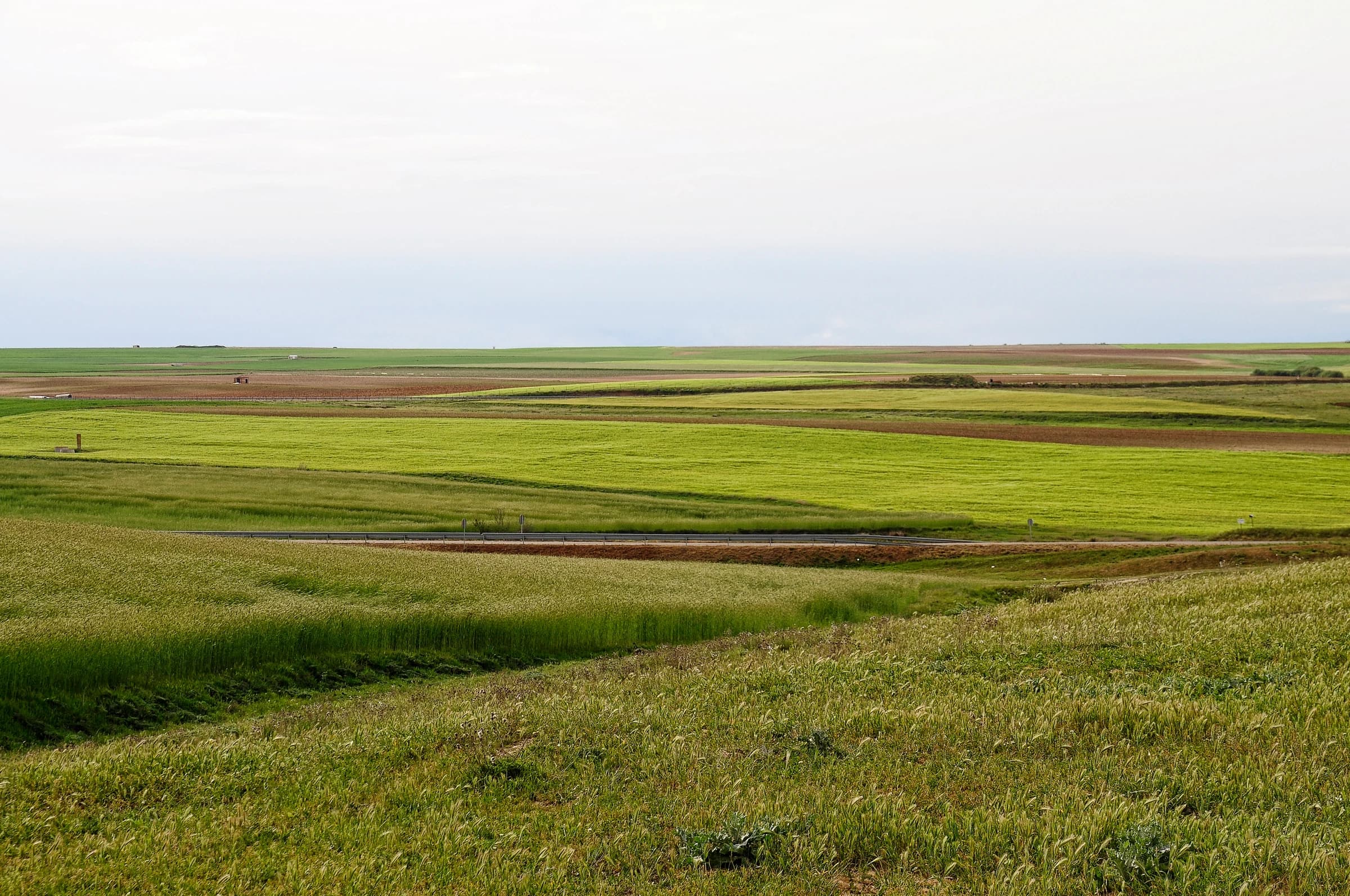 Palencia de Negrilla