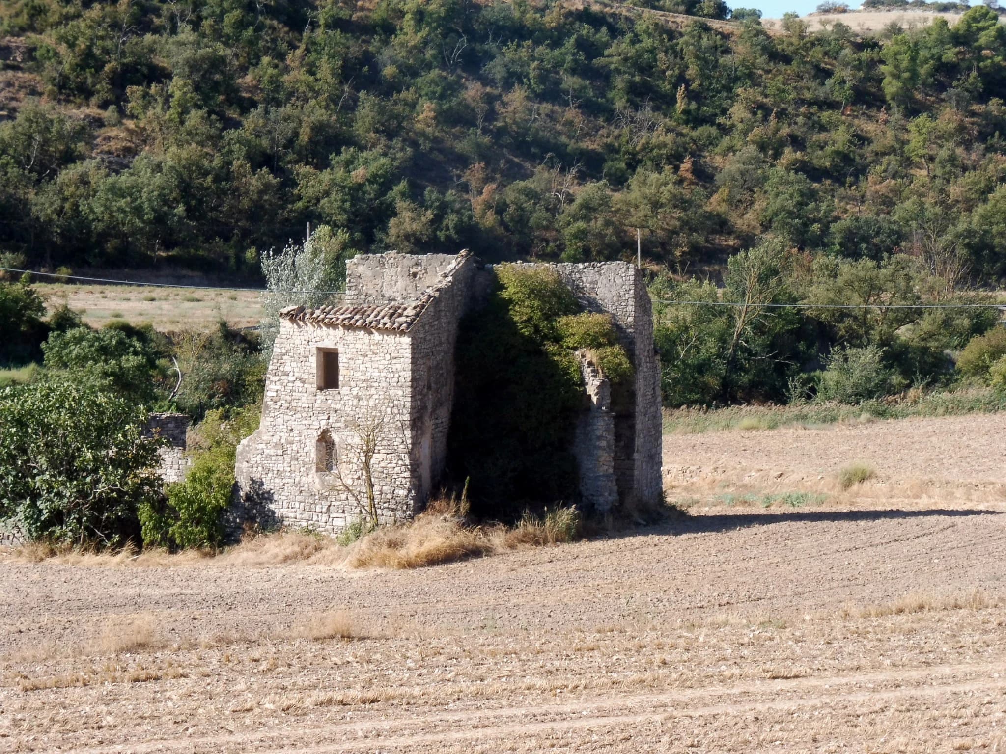 Granyanella