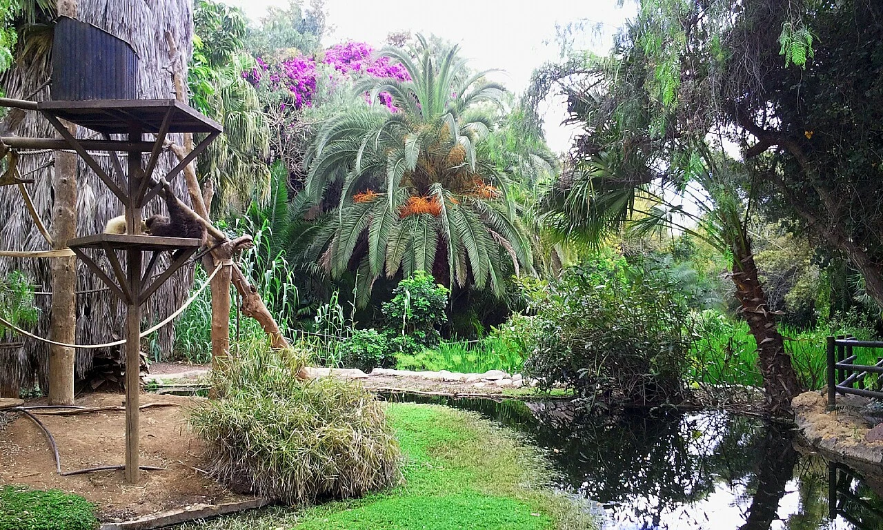 Arona en autocaravana (Santa Cruz de Tenerife)