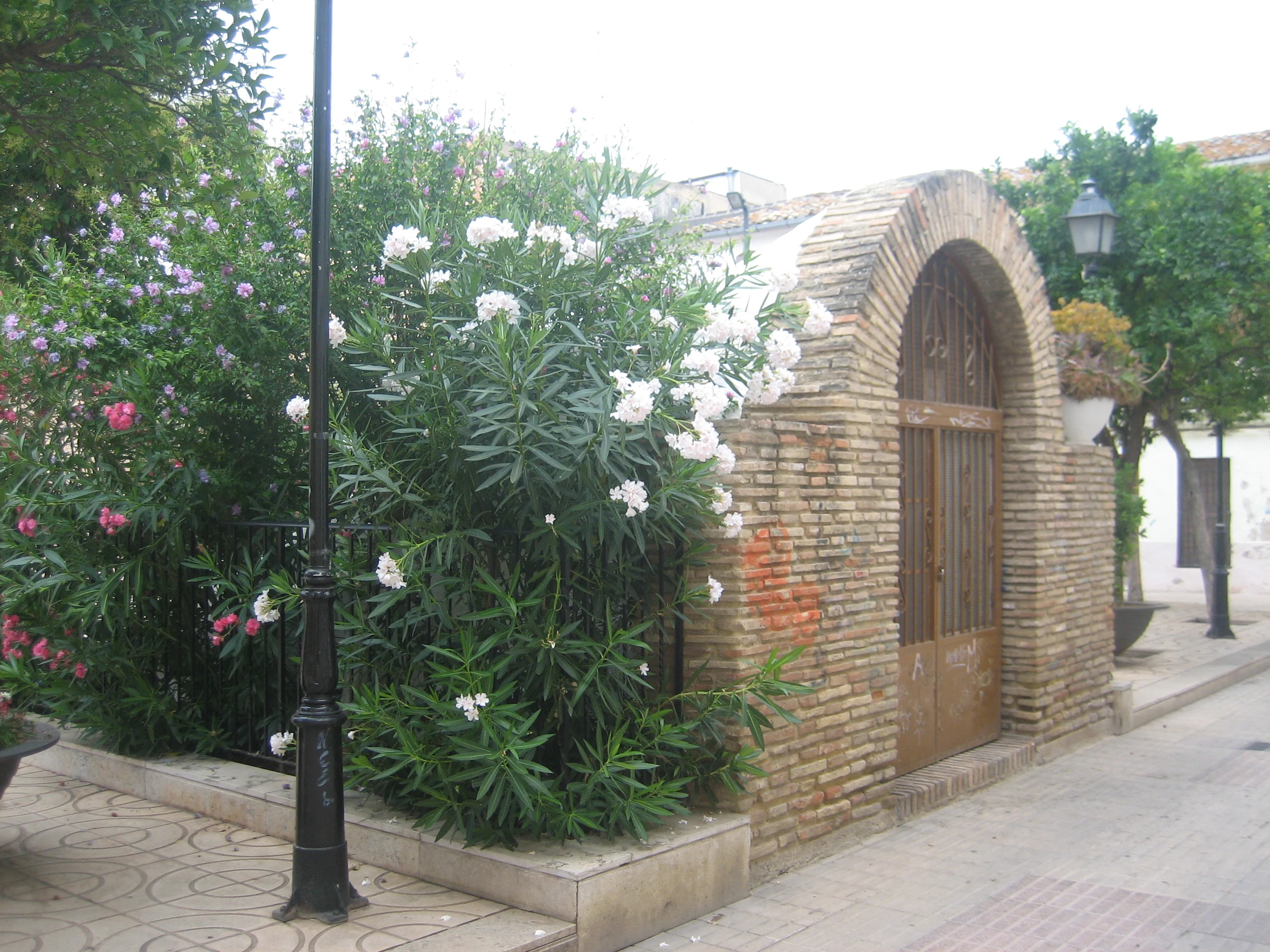 Quart de Poblet en autocaravana (Valencia)