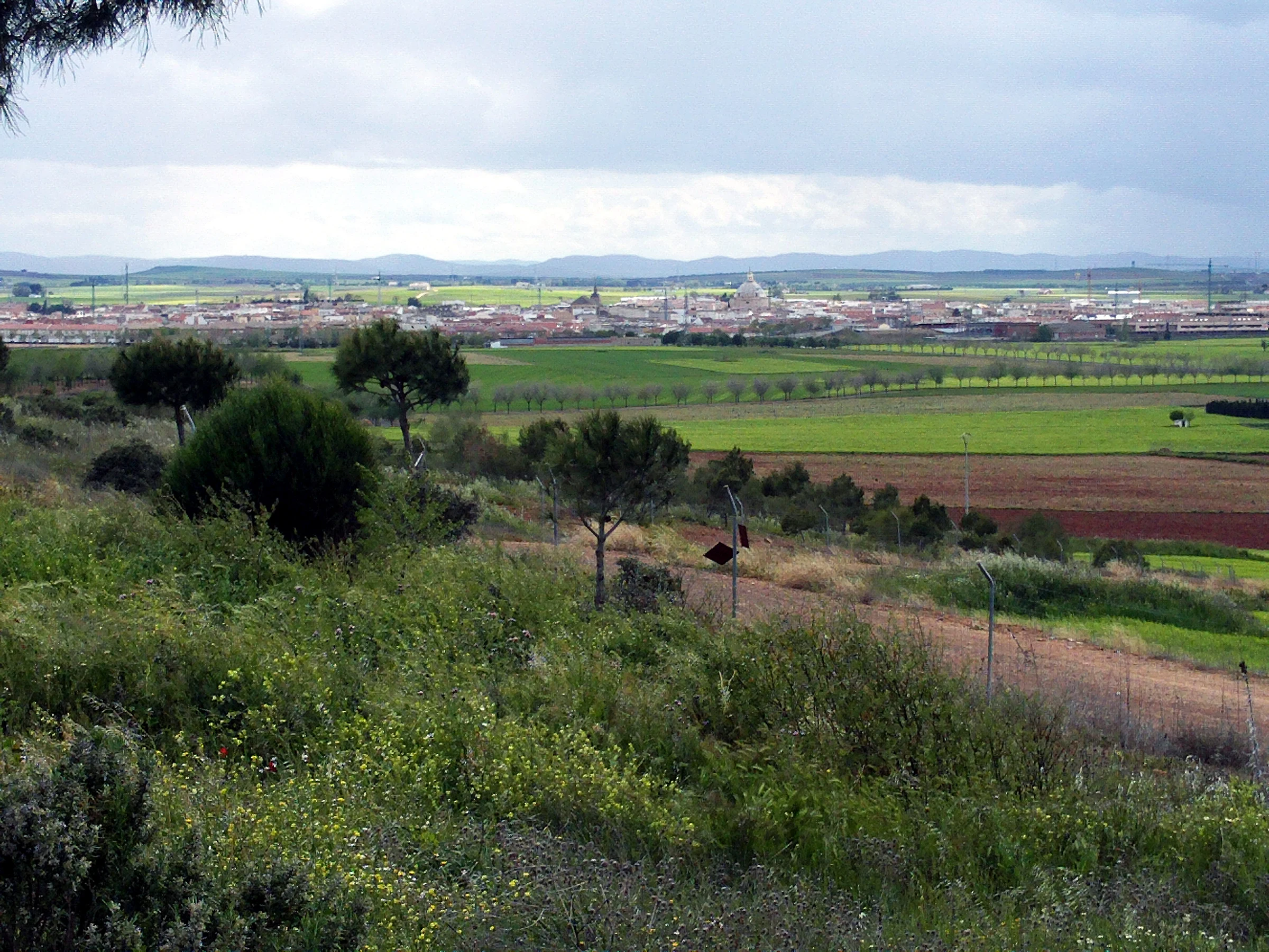 Miguelturra en autocaravana (Ciudad Real)