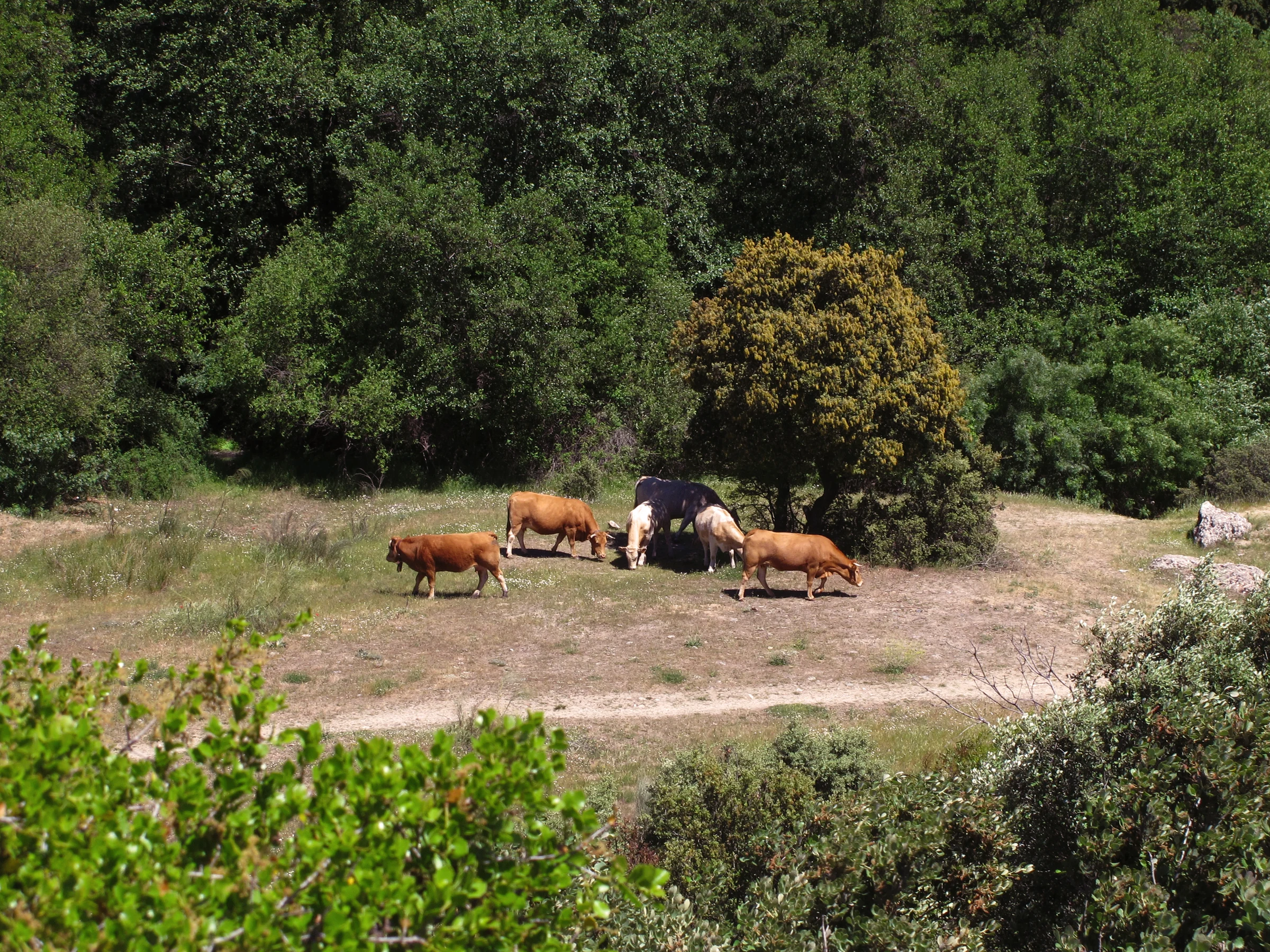 San Agustín del Guadalix en autocaravana (Madrid)