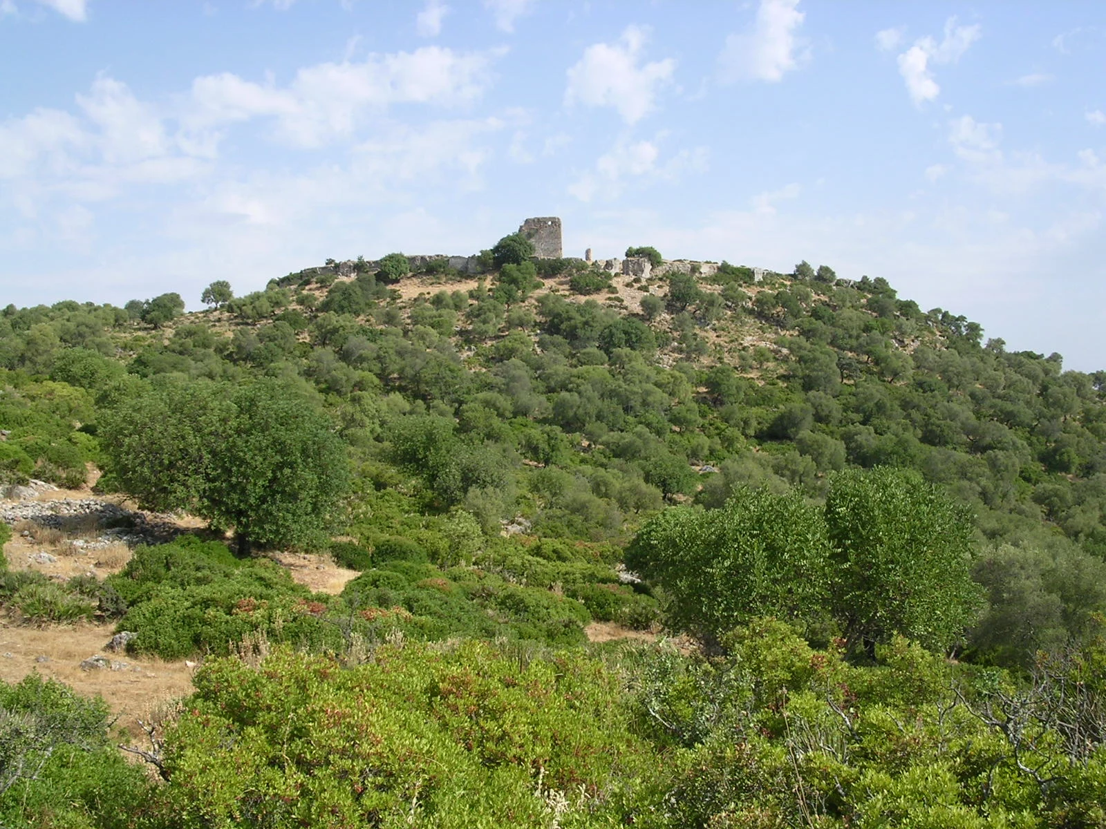 Villamartín en autocaravana (Cádiz)