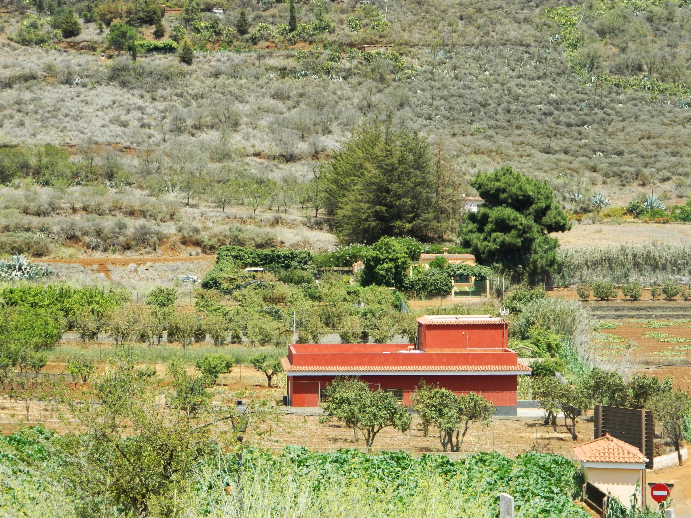 Vega de San Mateo en autocaravana (Las Palmas)