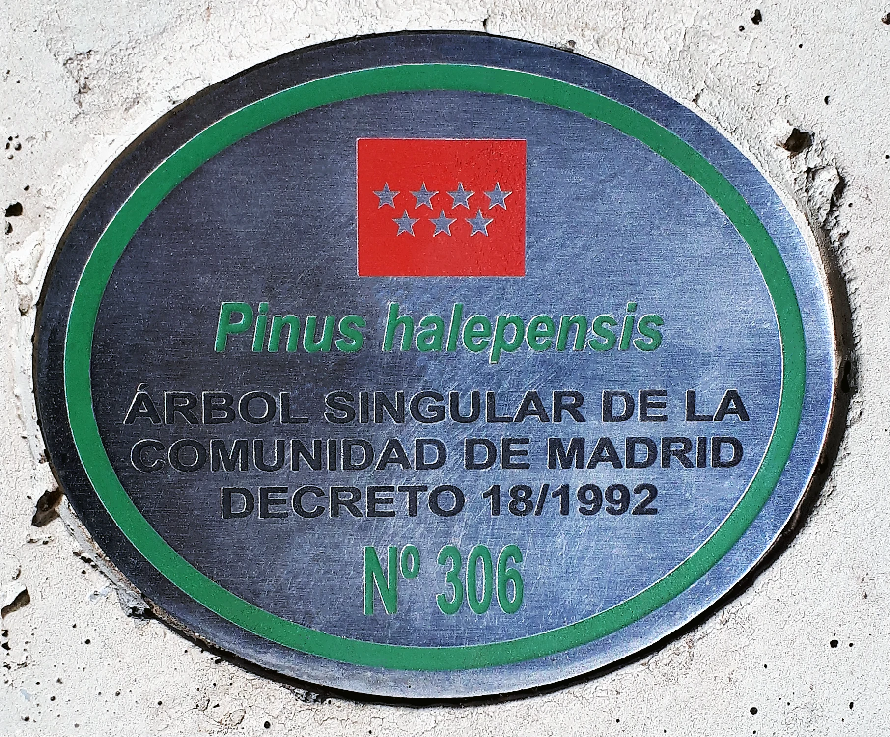 Nuevo Baztán en autocaravana (Madrid)