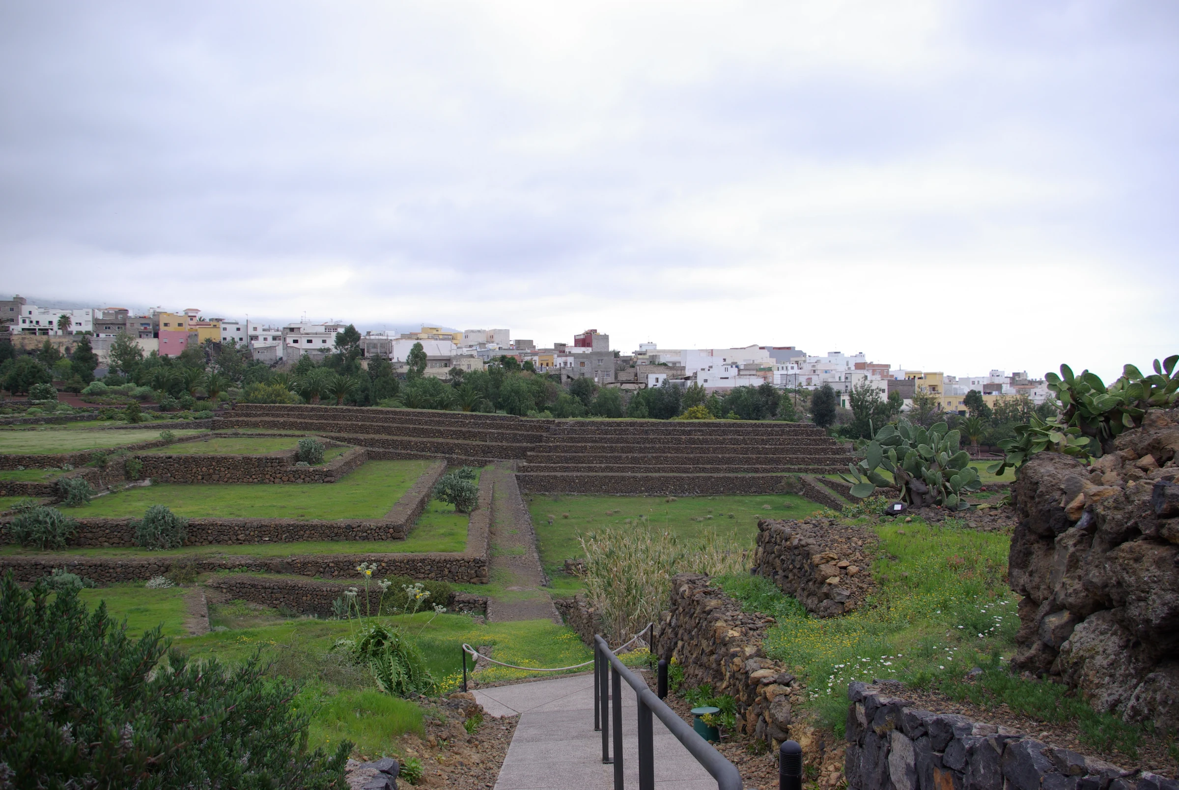 Arafo en autocaravana (Santa Cruz de Tenerife)