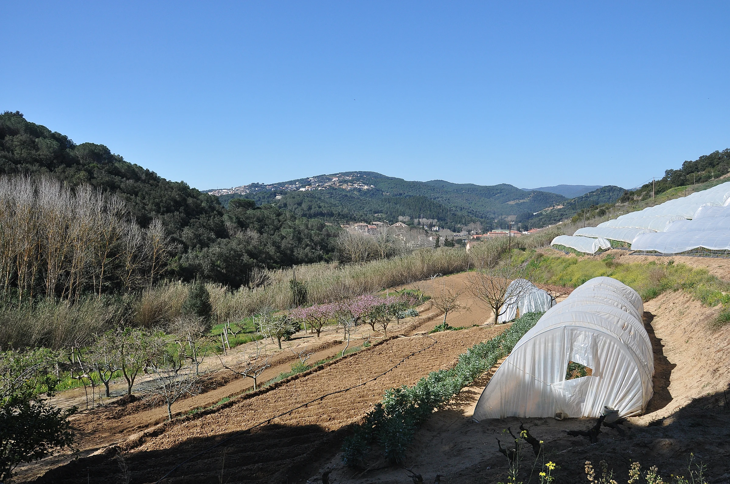 Sant Cebrià de Vallalta en autocaravana (Barcelona)