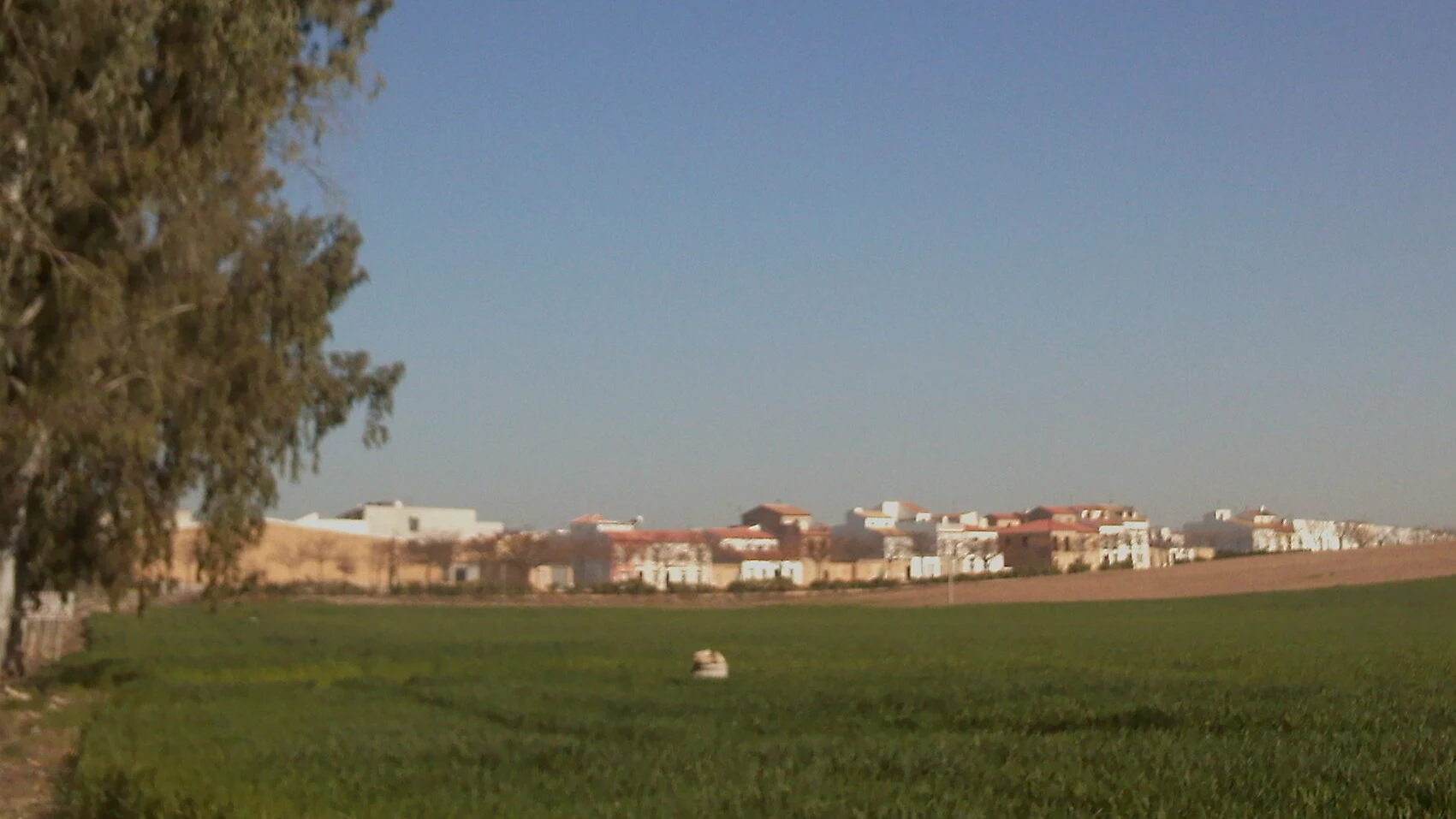 Rubio, El en autocaravana (Sevilla)