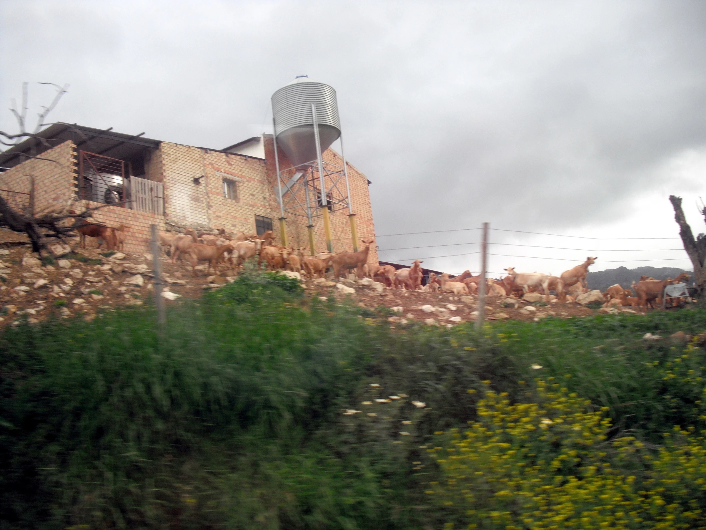 Villanueva de la Concepción en autocaravana (Málaga)