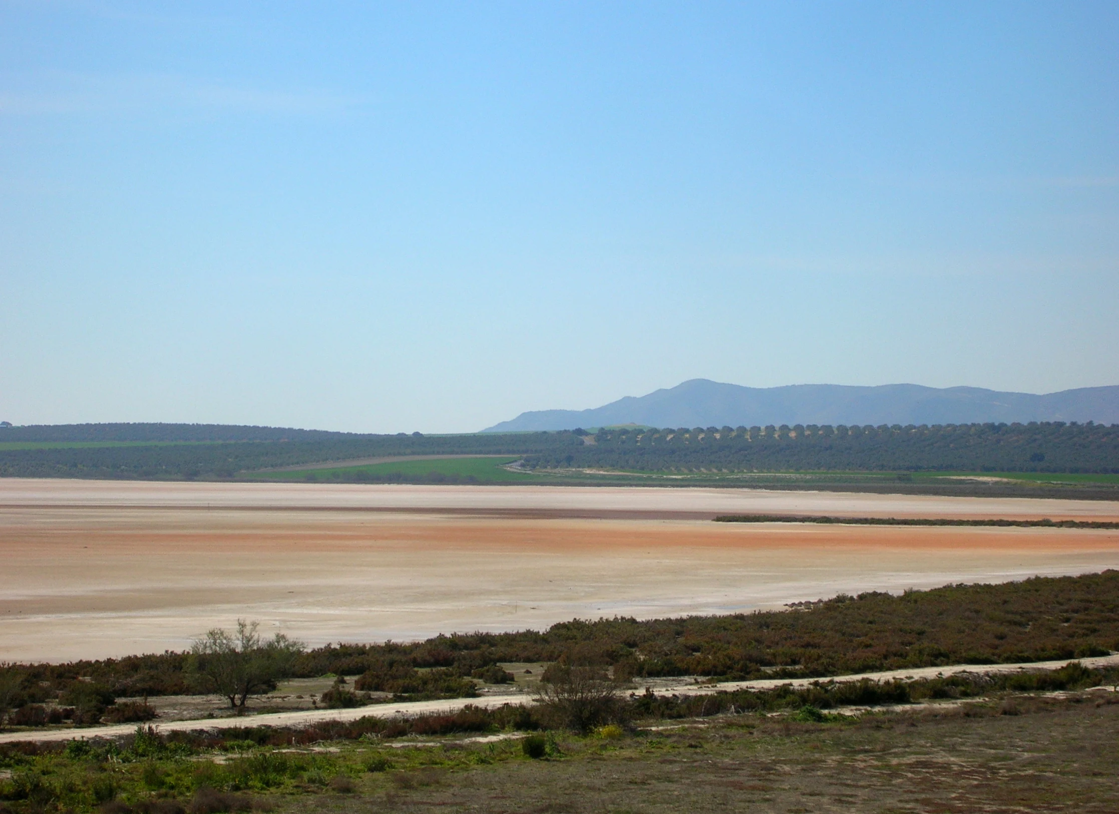 Fuente de Piedra en autocaravana (Málaga)