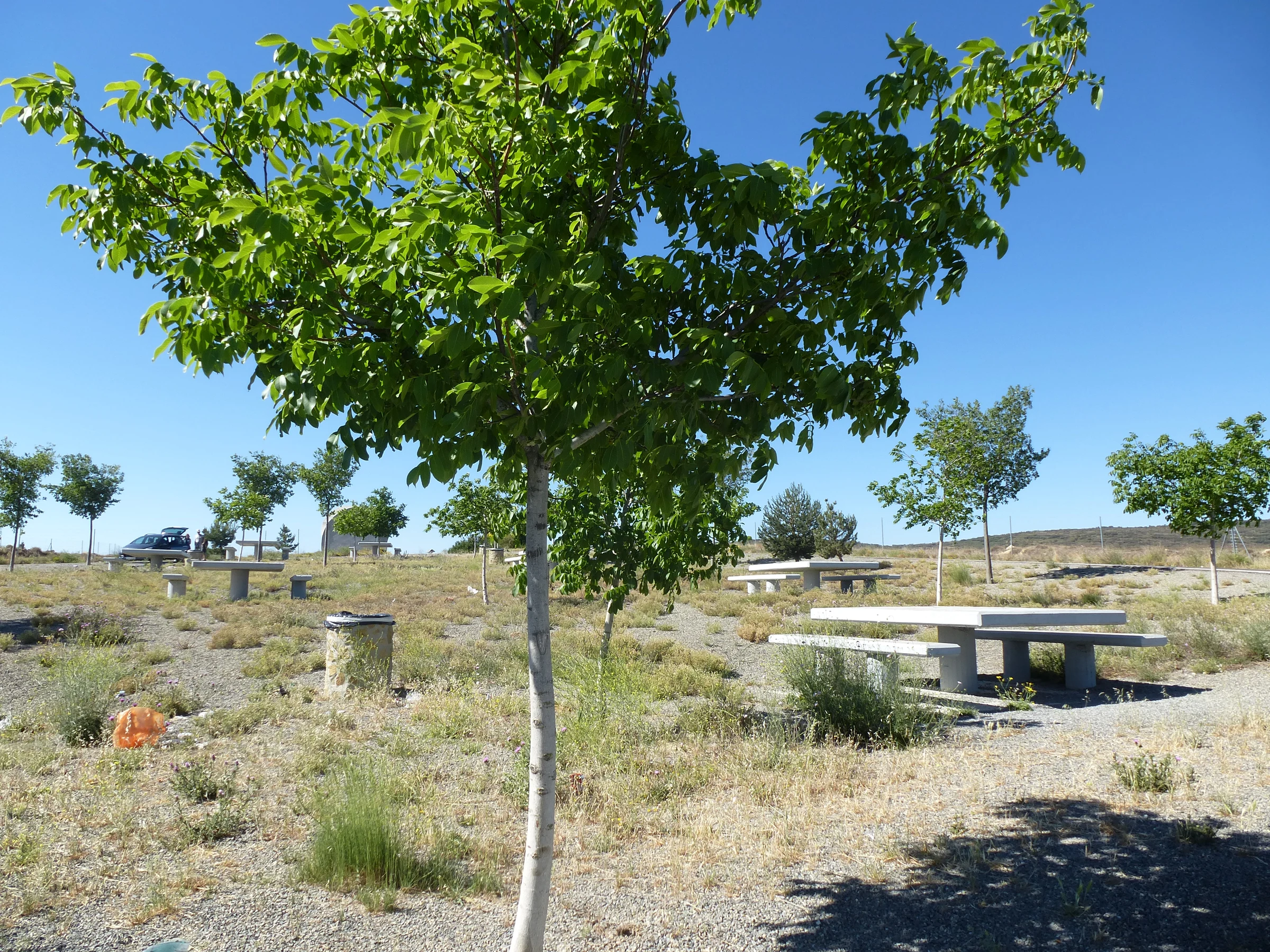 Gallur en autocaravana (Zaragoza)