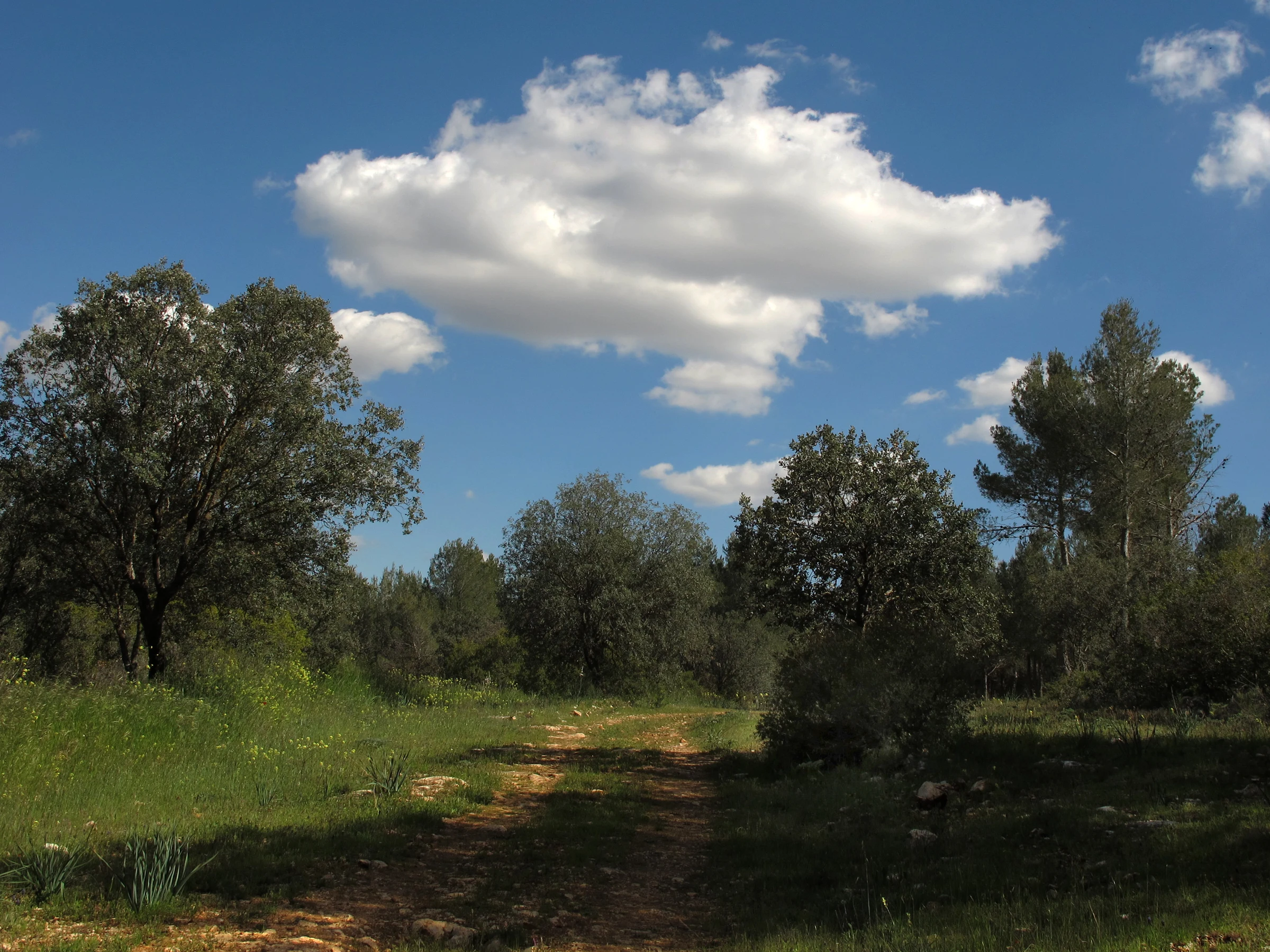Villar del Olmo en autocaravana (Madrid)