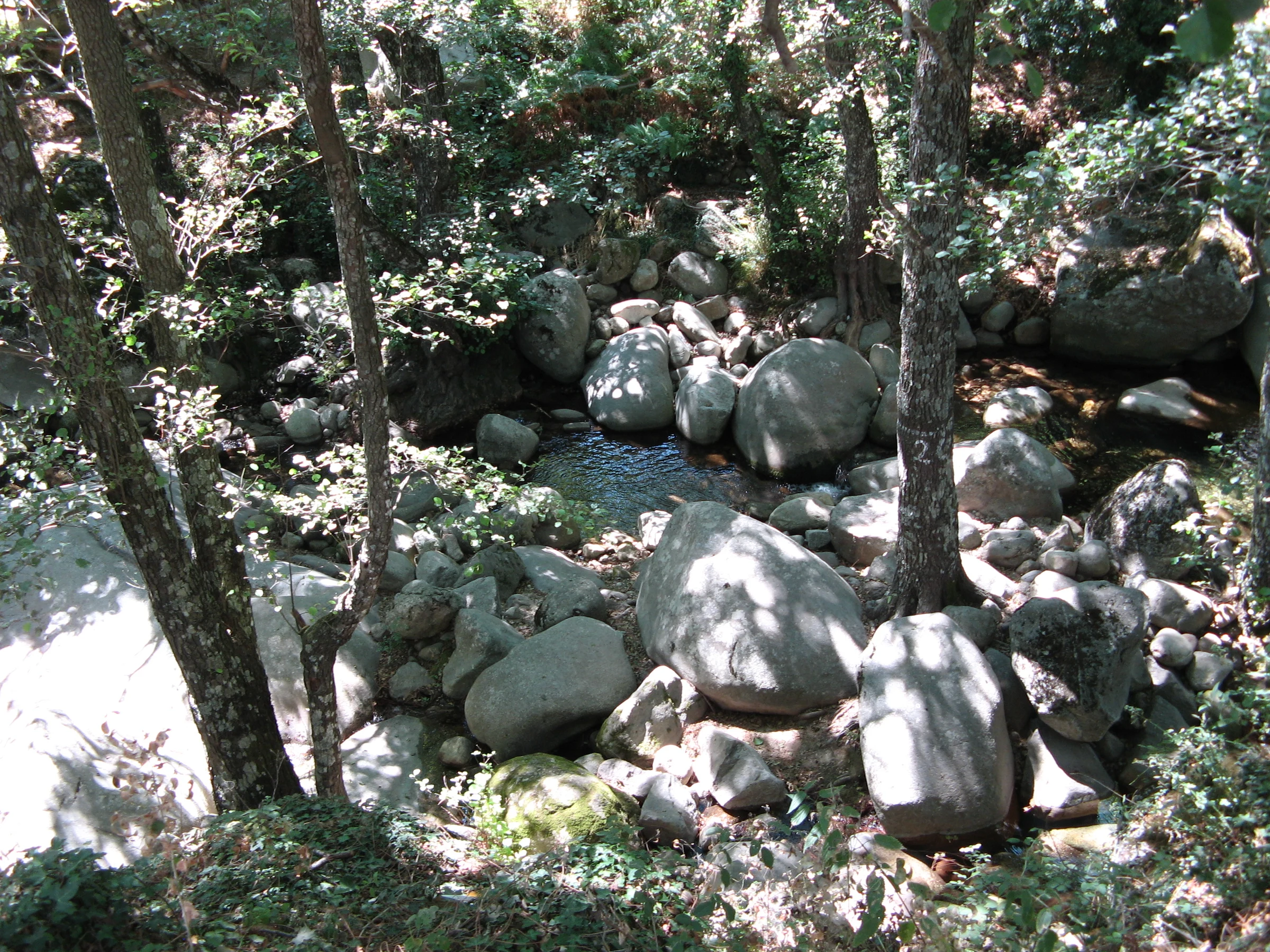 Piedralaves en autocaravana (Ávila)