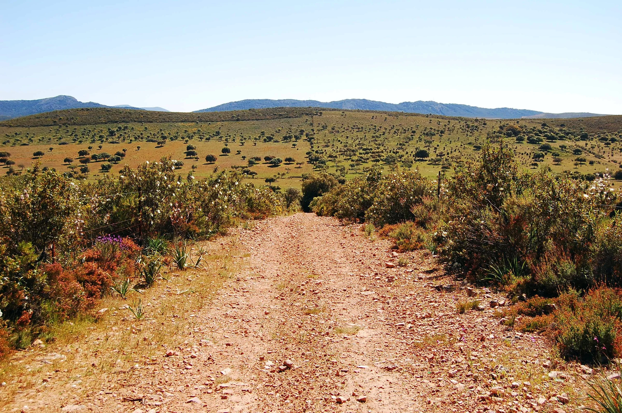 Fuenlabrada de los Montes en autocaravana (Badajoz)