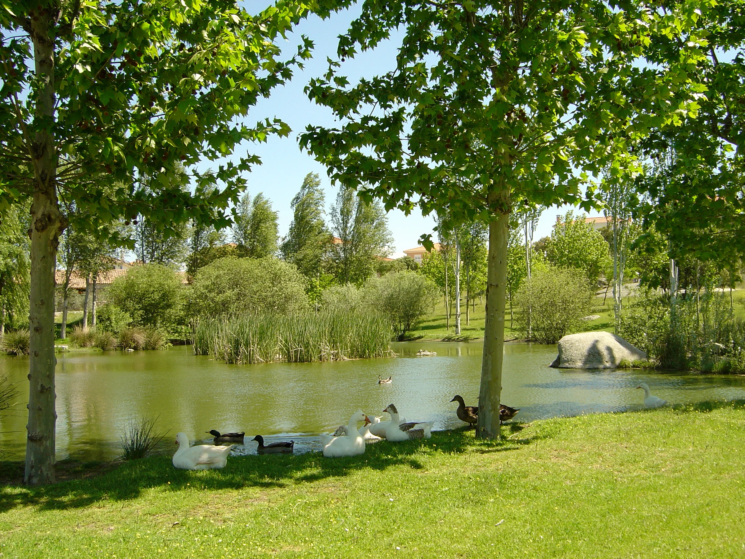 Villamantilla en autocaravana (Madrid)