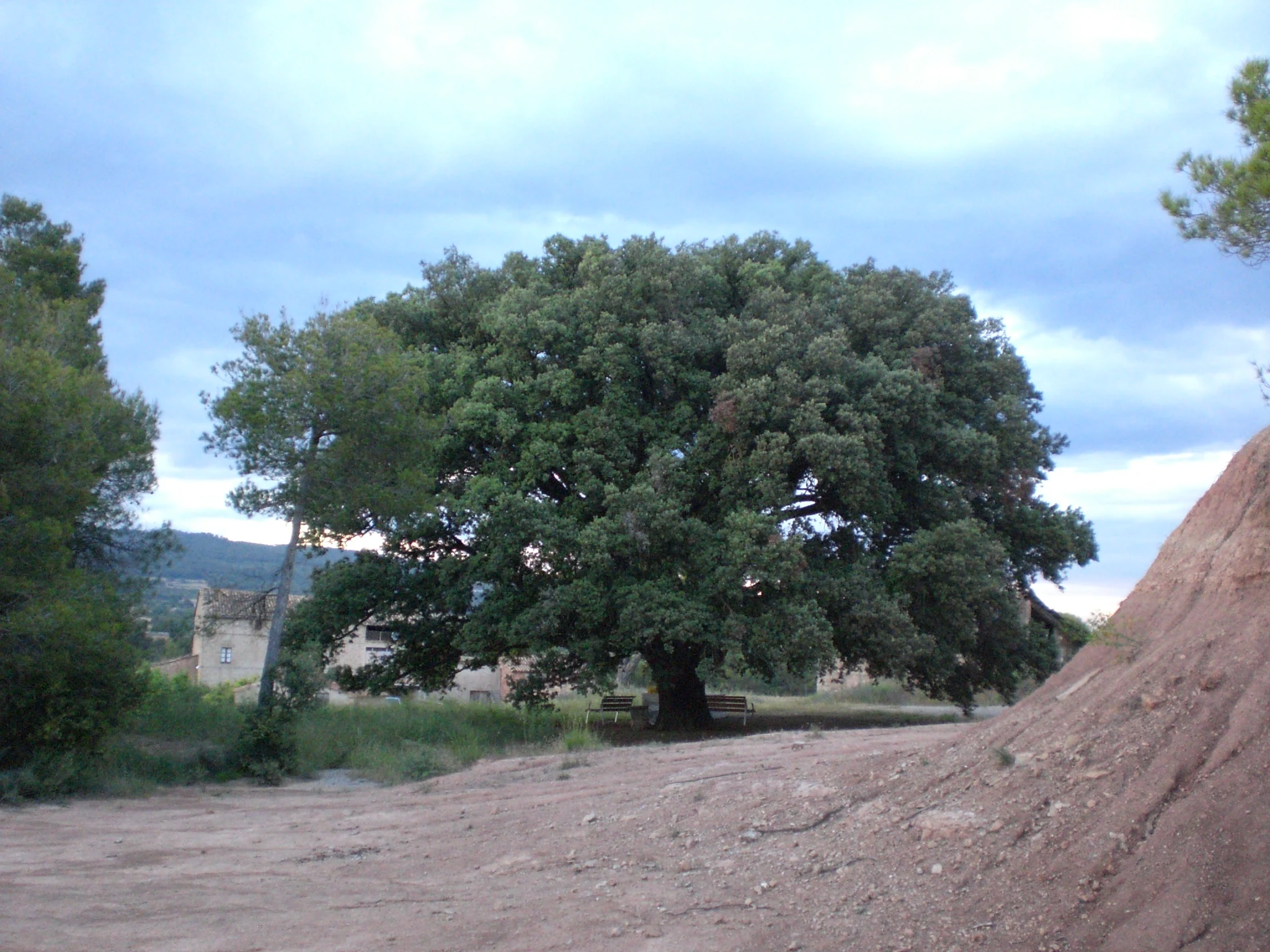 Fonollosa en autocaravana (Barcelona)