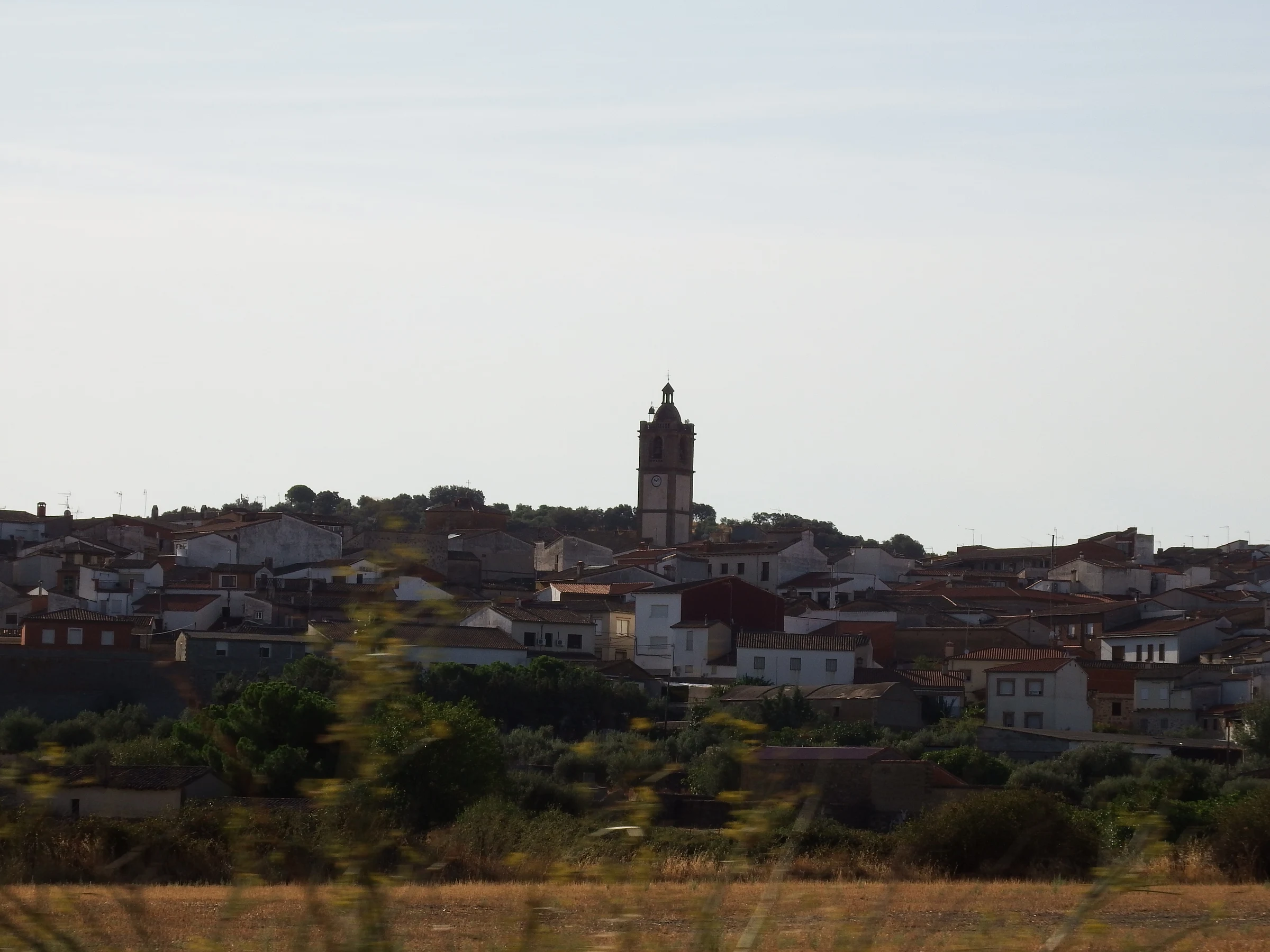 Lagartera en autocaravana (Toledo)