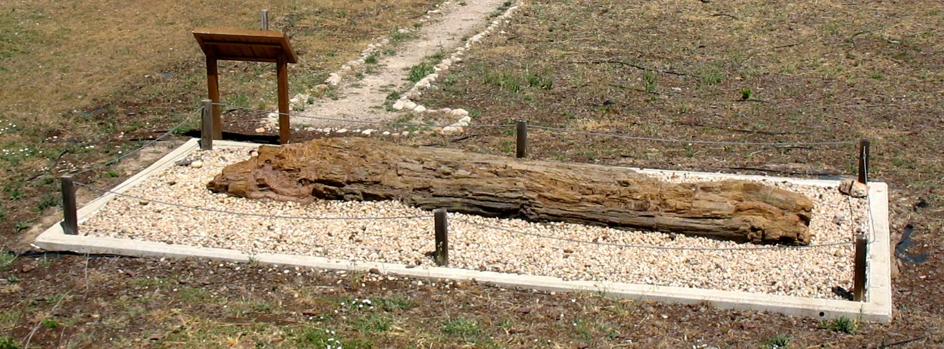 Landete en autocaravana (Cuenca)